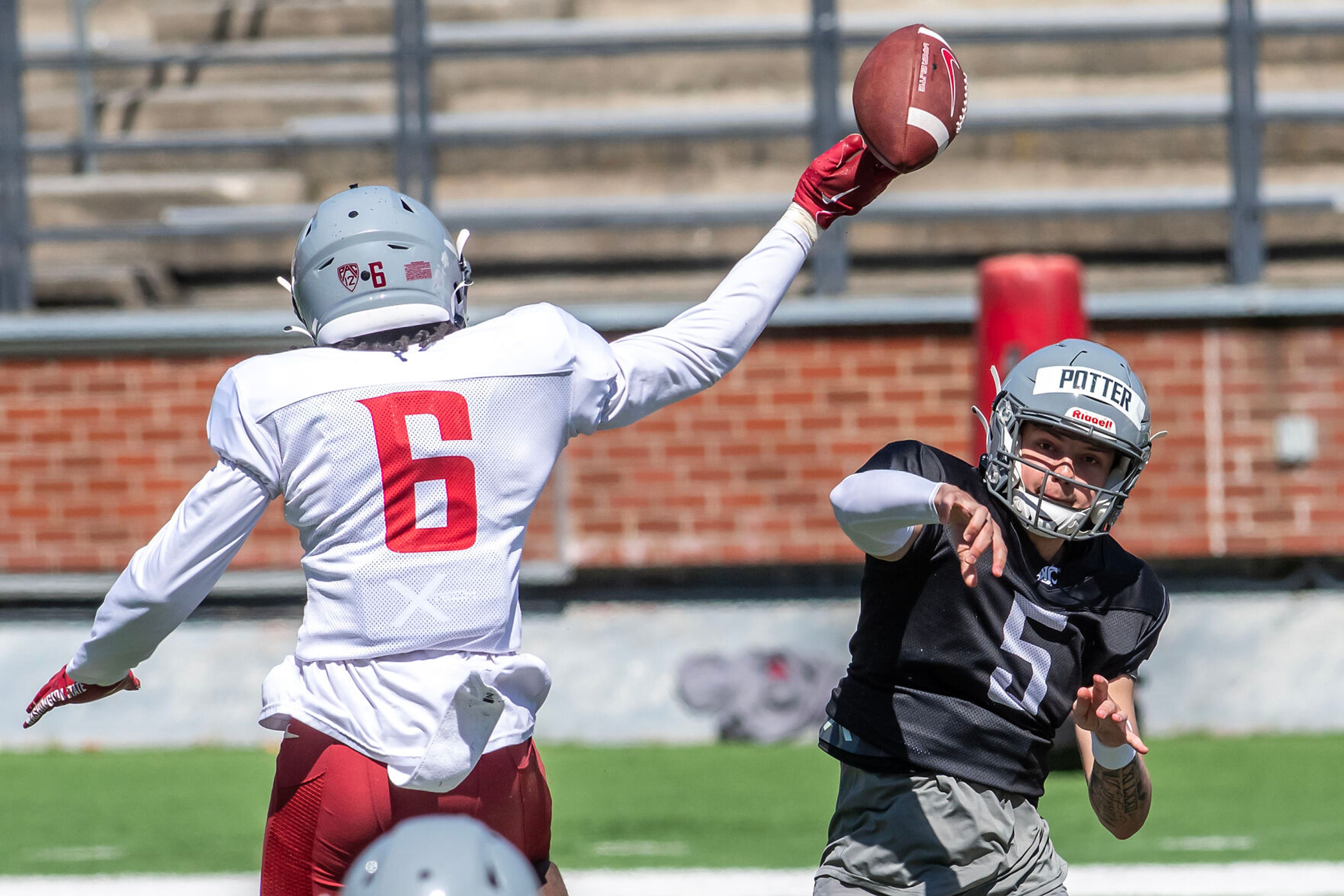 Washington State quarterback Jaxon Potter see’s his pass tipped out of the air by defensive back Adrian Wilson during the second scrimmage of spring practice Saturday in Pullman.