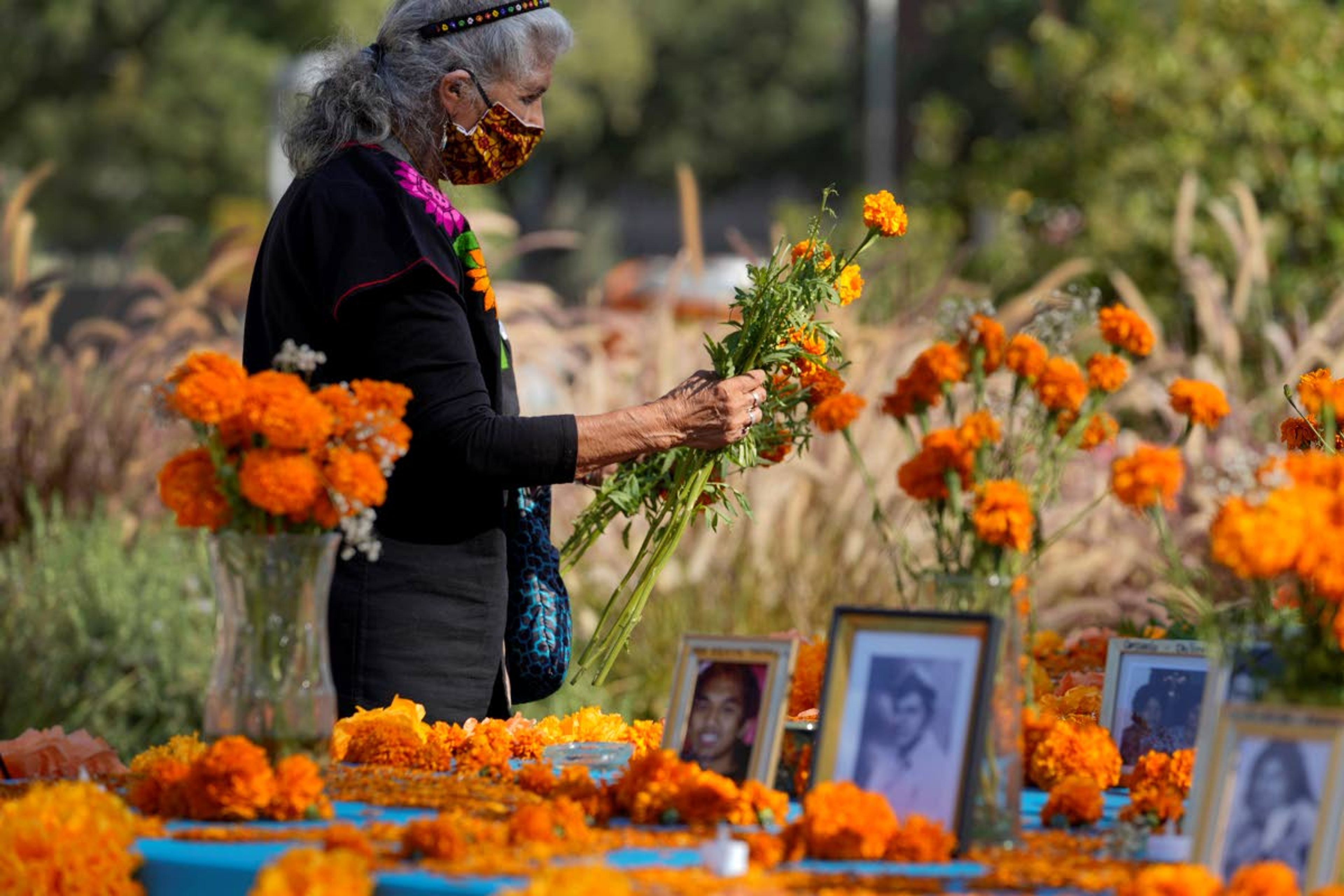 Artist and altar maker Ofelia Esparza, 88, from East Los Angeles, brings fresh marigolds for her community altar for Day of the Dead, titled "2020 Memorial to Our Resilience," at Grand Park in Los Angeles, Thursday, Oct. 29, 2020. Day of the Dead, or Dia de los Muertos, the annual Mexican tradition of reminiscing about departed loved ones with colorful altars, or ofrendas, is typically celebrated Sunday through Monday. It will undoubtedly be harder for Latino families in the U.S. torn apart by the coronavirus. (AP Photo/Damian Dovarganes)