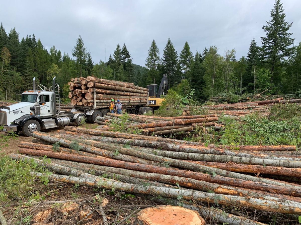 Forest Service, Department of Lands forge new management agr...