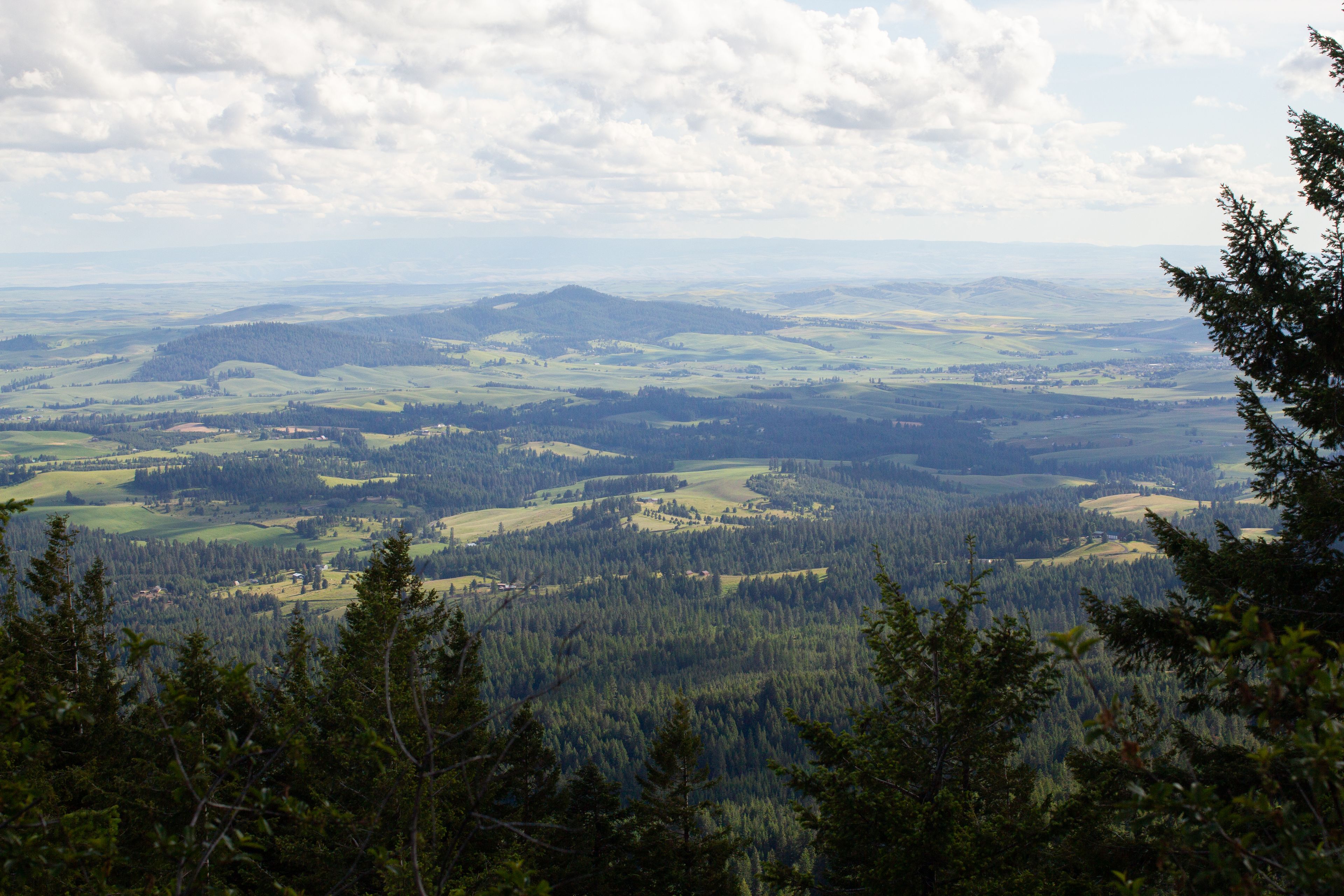 East Moscow Mountains provides a variety of views for hikers who make the trek.