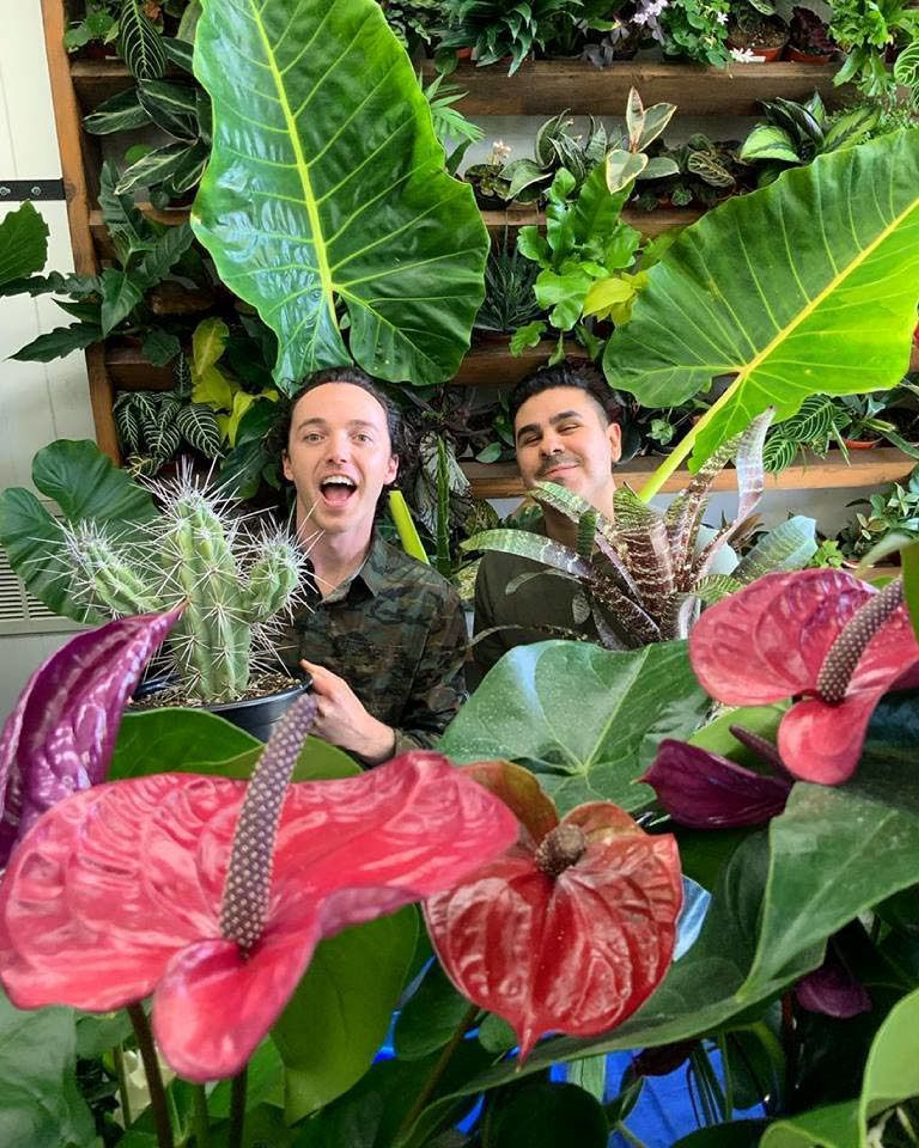 Andrew Stewart, left, and Dominic Villareal own A Modern Plantsman in Colfax. The plant shop hosted its grand opening Friday.