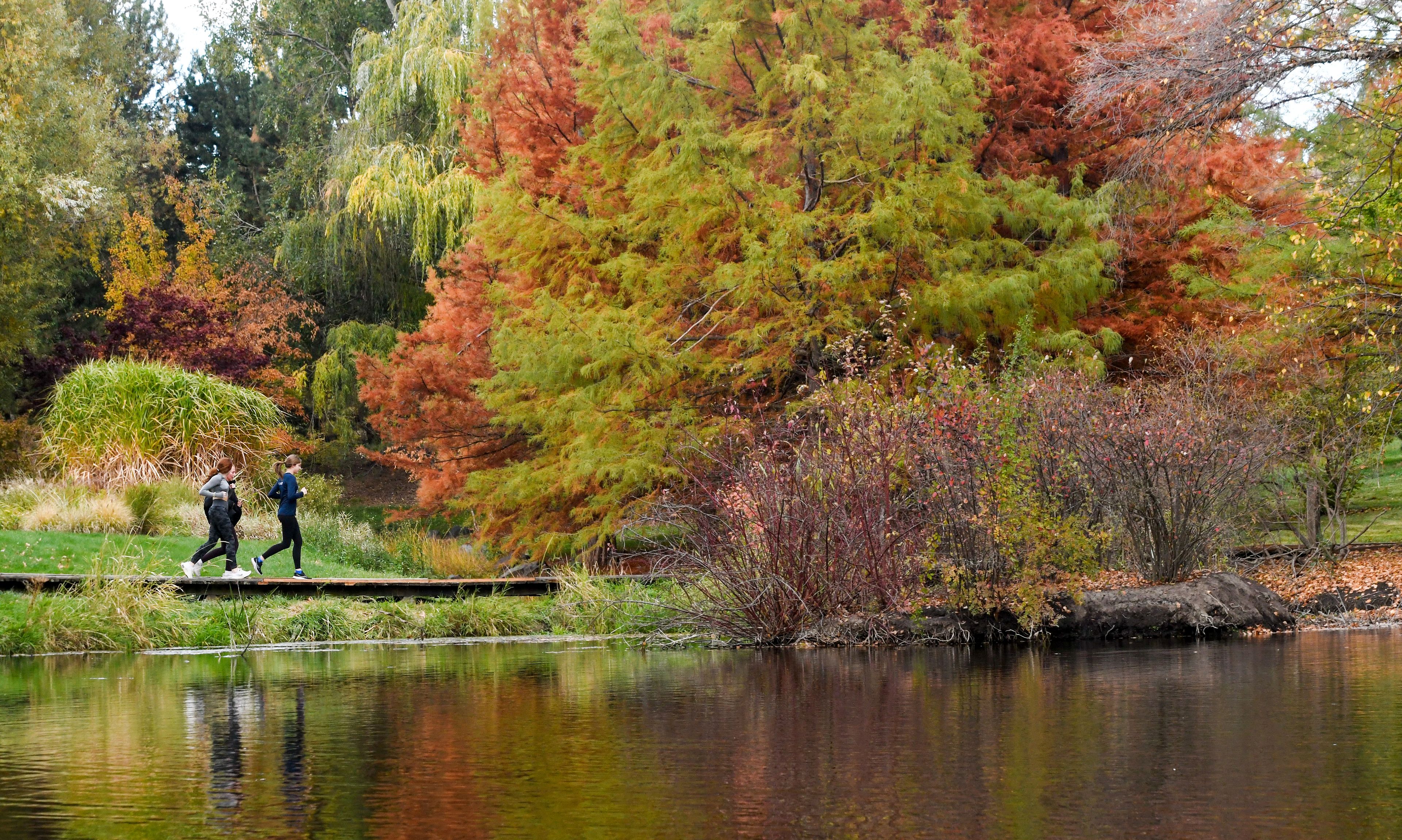 Runners make their way over a bridge at the University of Idaho Arboretum and Botanical Garden in Moscow on Friday as part of the Tradition Keepers 5K organized by the UI Student Alumni Relations Board. The race, which kicked off Parent and Family Weekend, led runners and walkers past historical places around campus, finishing at the Idaho Central Credit Union Arena pavilion.