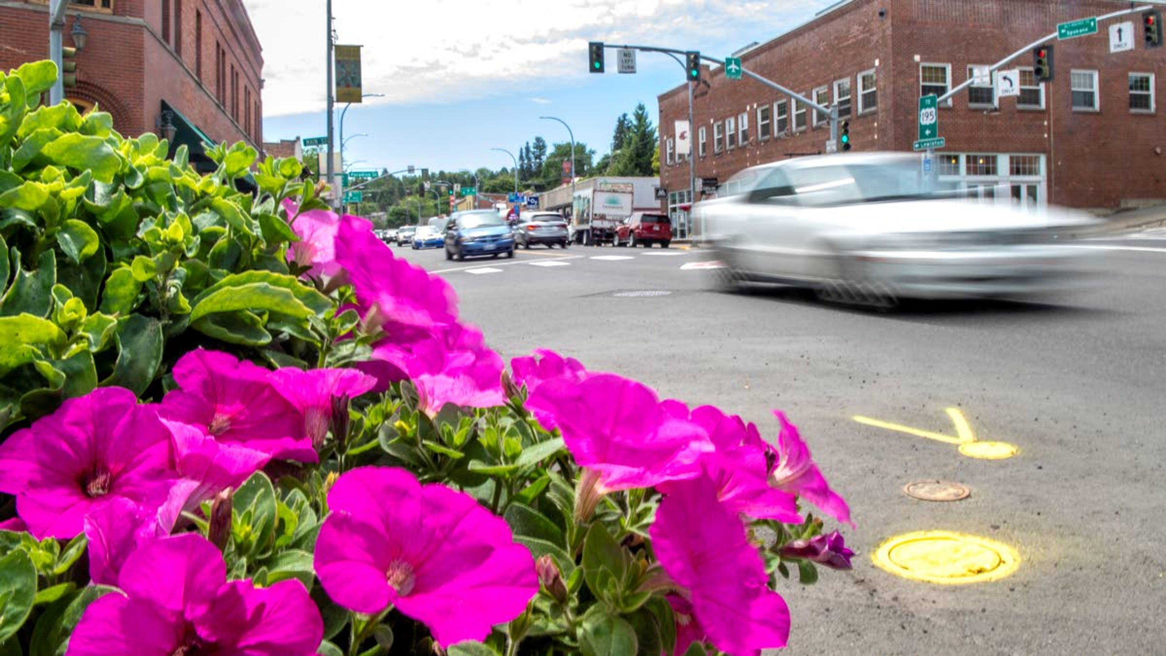 FILE — Cars are seen driving past a pot of pink flowers on the corner of Main Street and Grand Avenue in downtown Pullman.