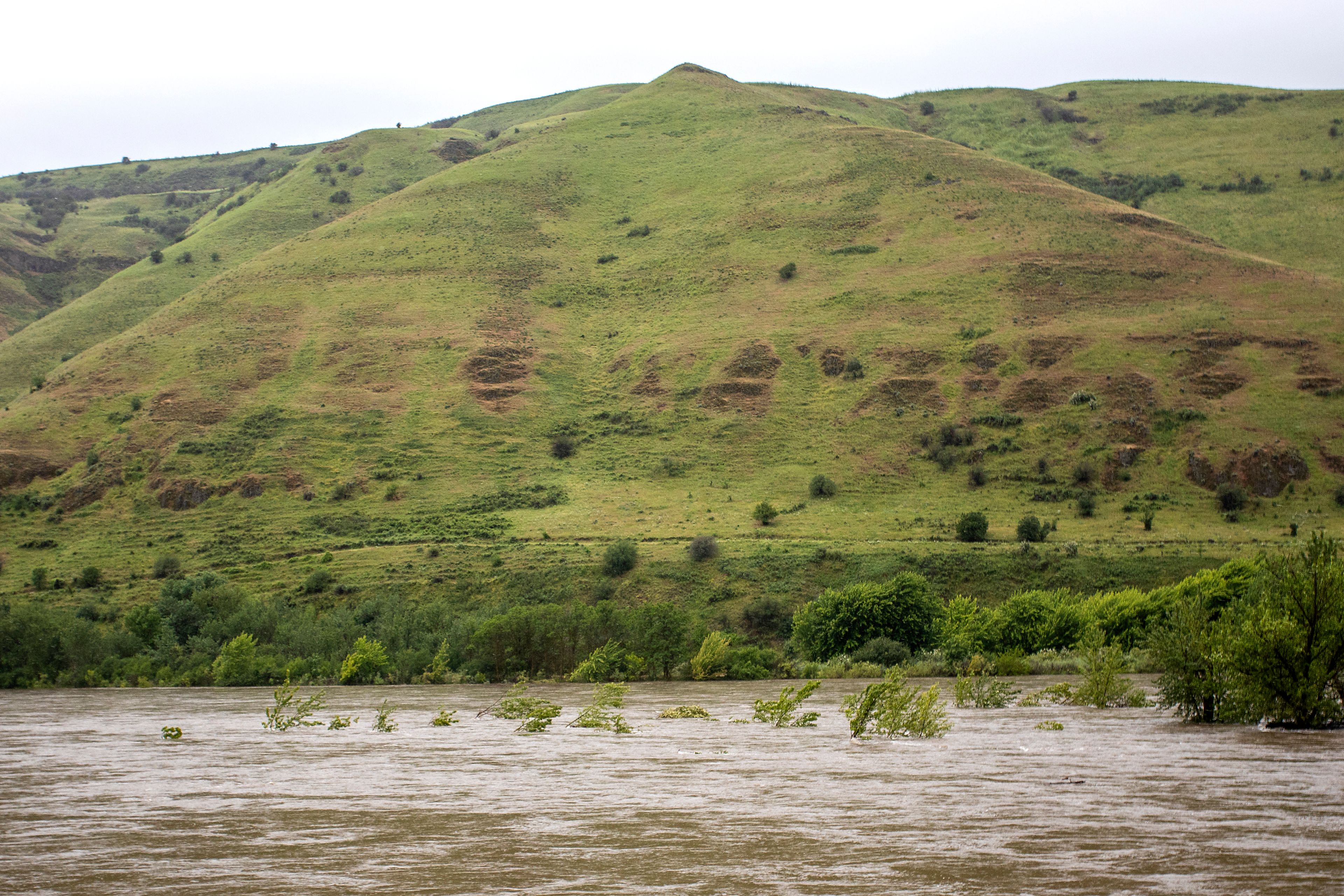 Trees and other shrubbery sit submerged in high waters Monday on the Clearwater River along U.S. Highway 95 on Monday.