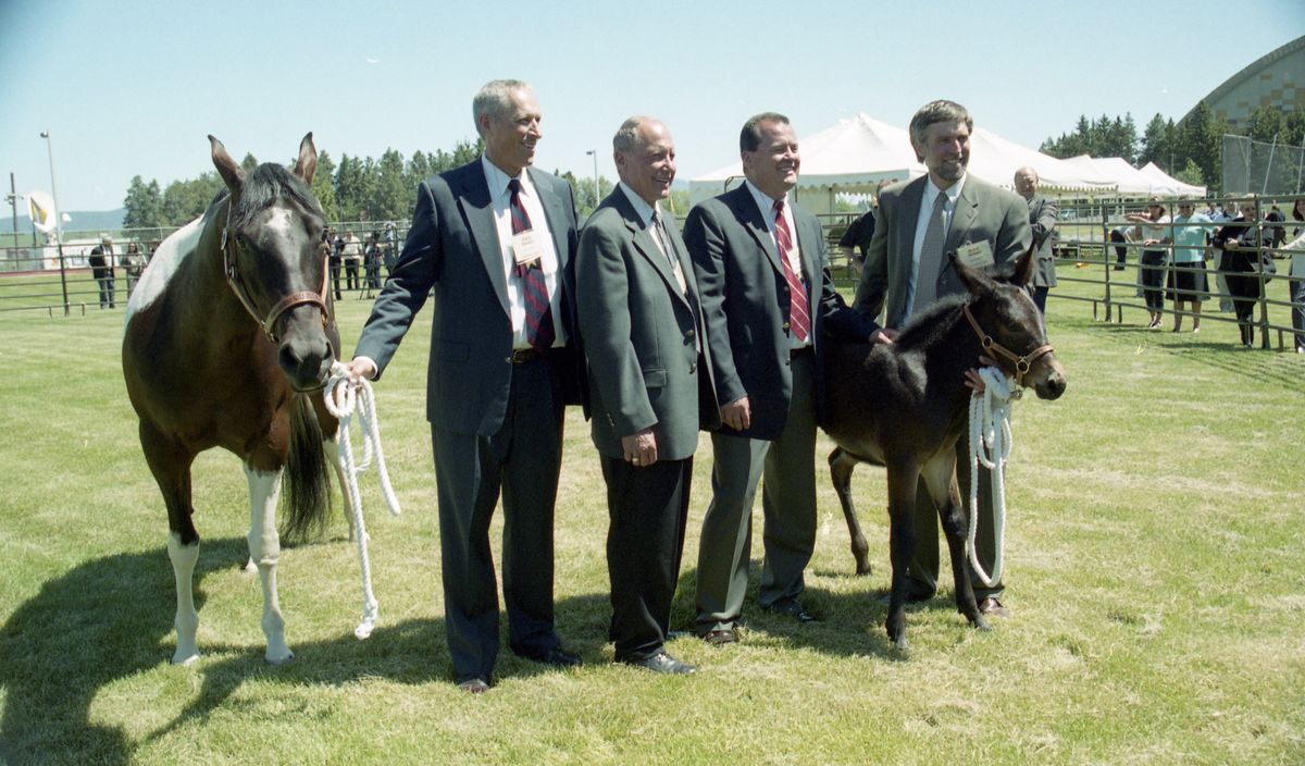 NEARBY HISTORY: The University of Idaho’s three cloned mules