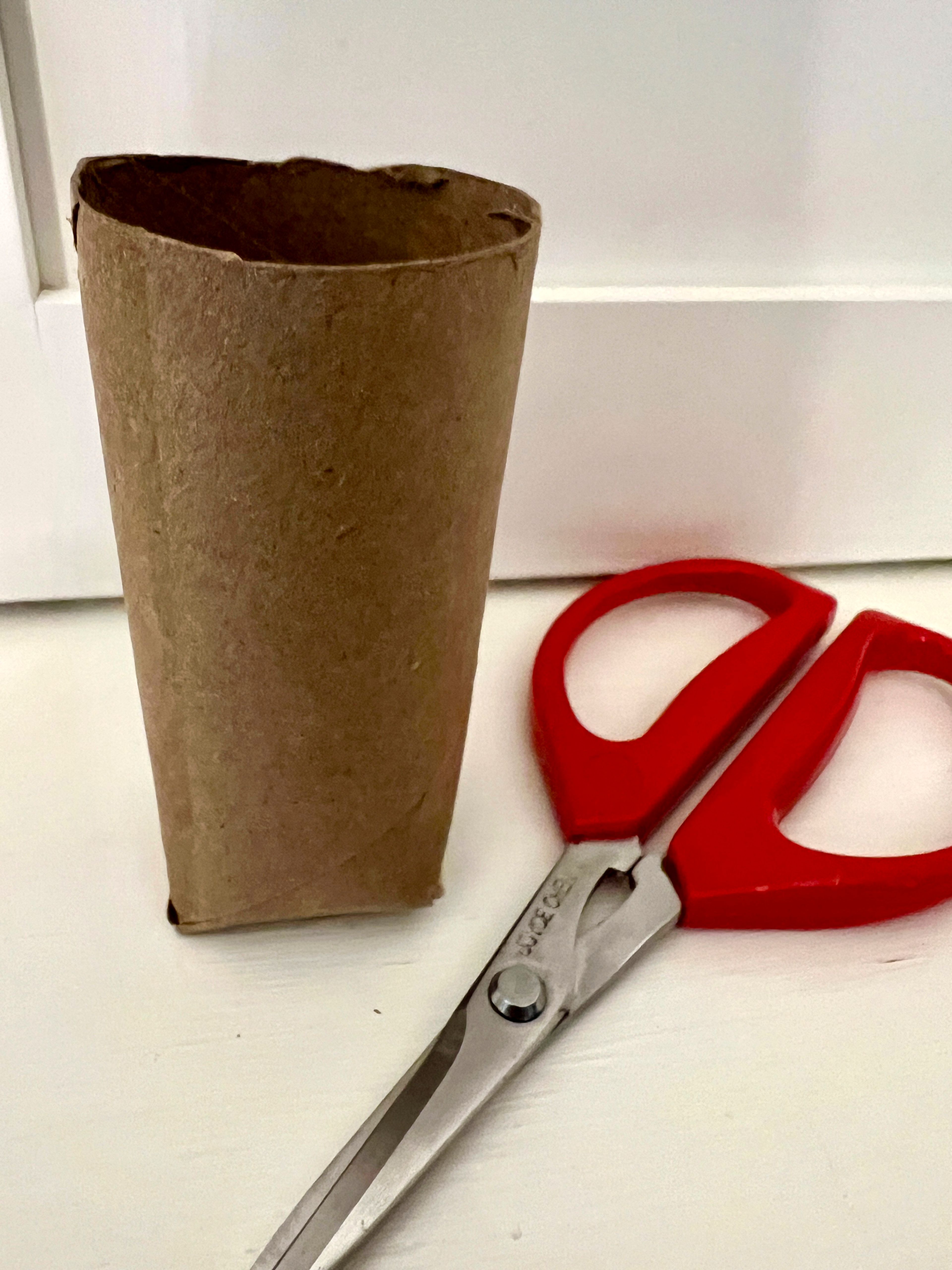 This Feb. 25, 2025, image shows a cardboard toilet paper roll converted to an upcycled DIY seed pot. (Jessica Damiano via AP)