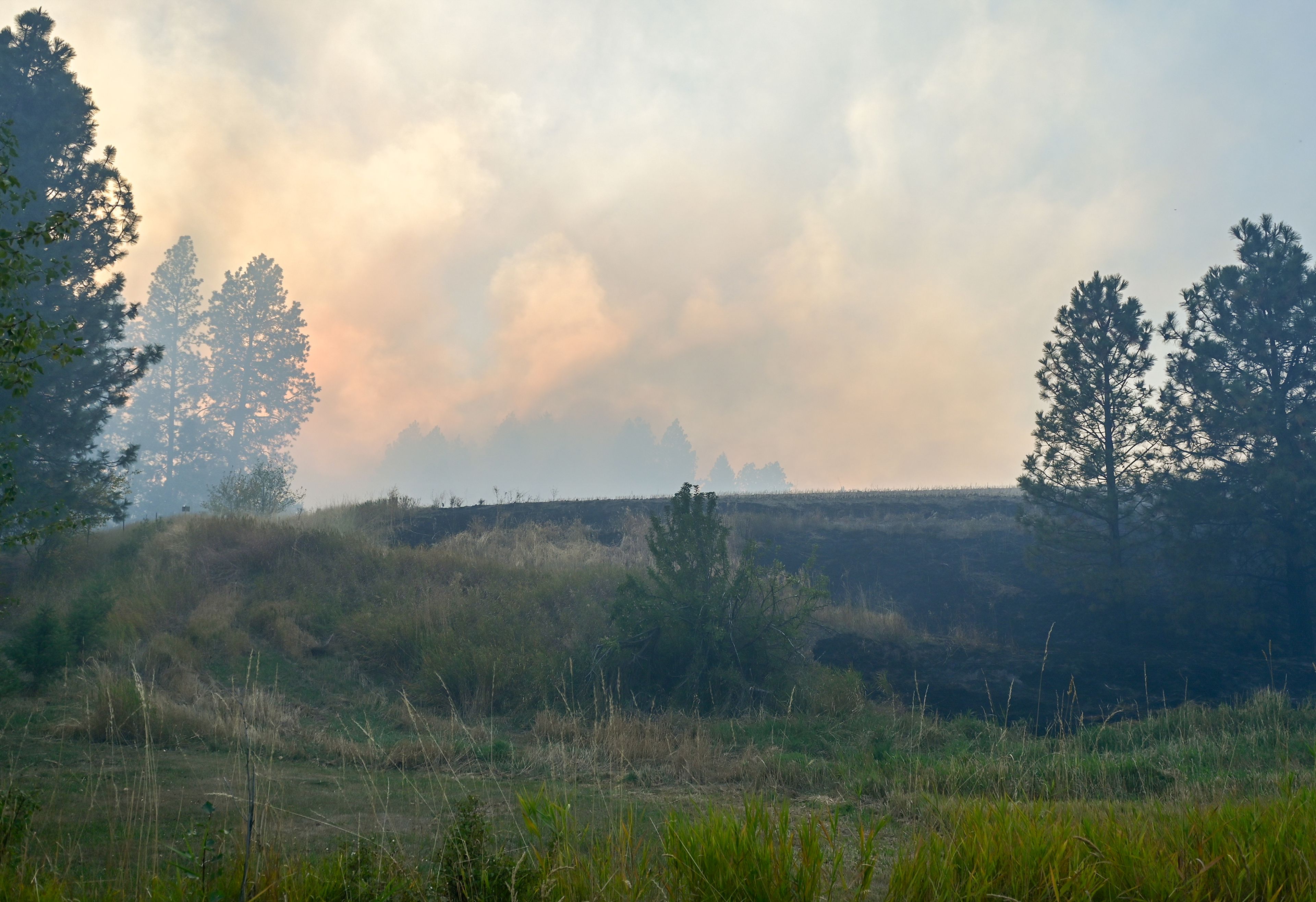 Areas along Teare Road are seen burnt from the Wallen Fire on Friday in Moscow.