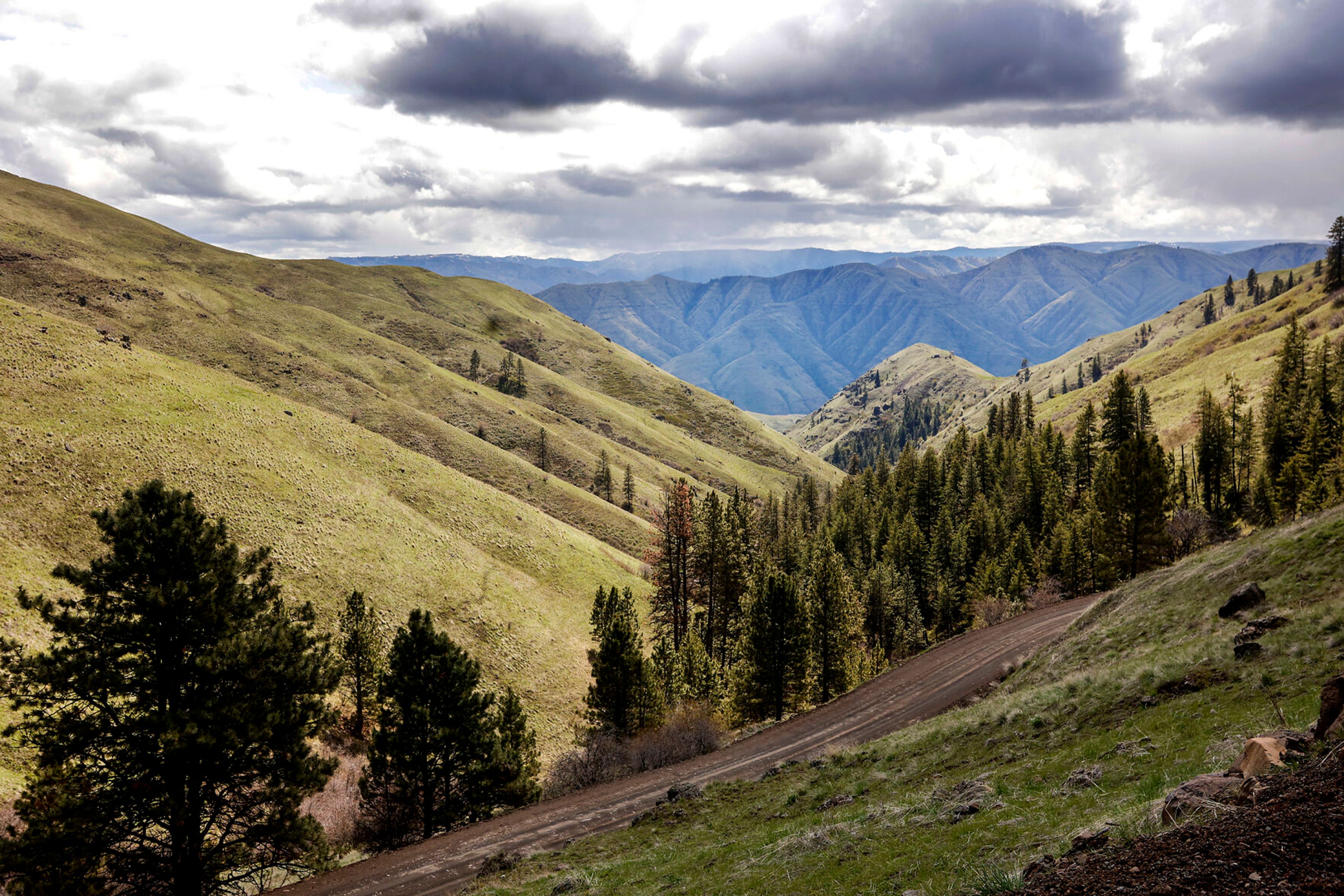 Hills extend out into the distance in the view from the top of Shumaker Road that descends down to the Hole in the Wall along the Grande Ronde River.