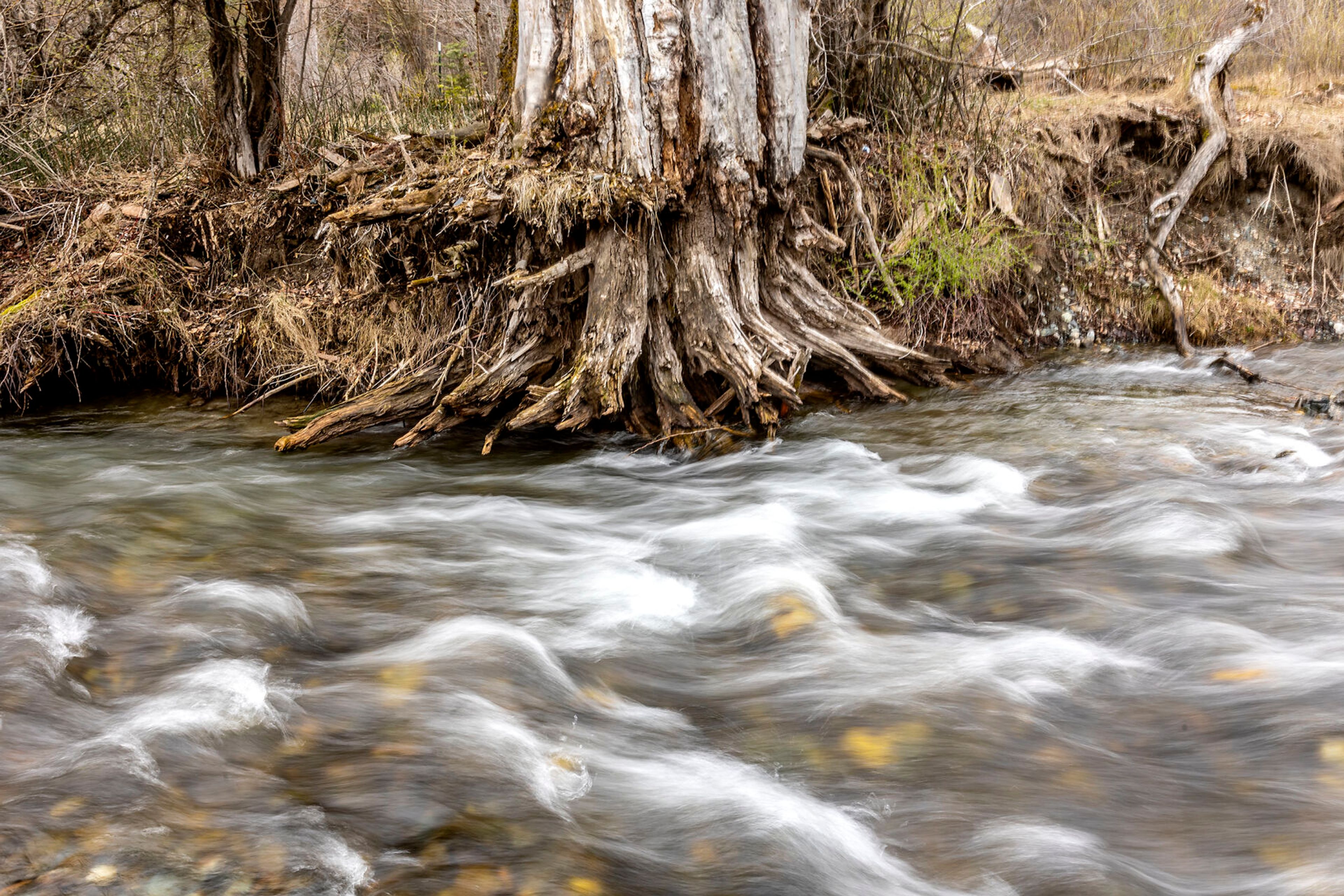 A stream moves toward Wallowa Lake at Wallowa Lake State Park.