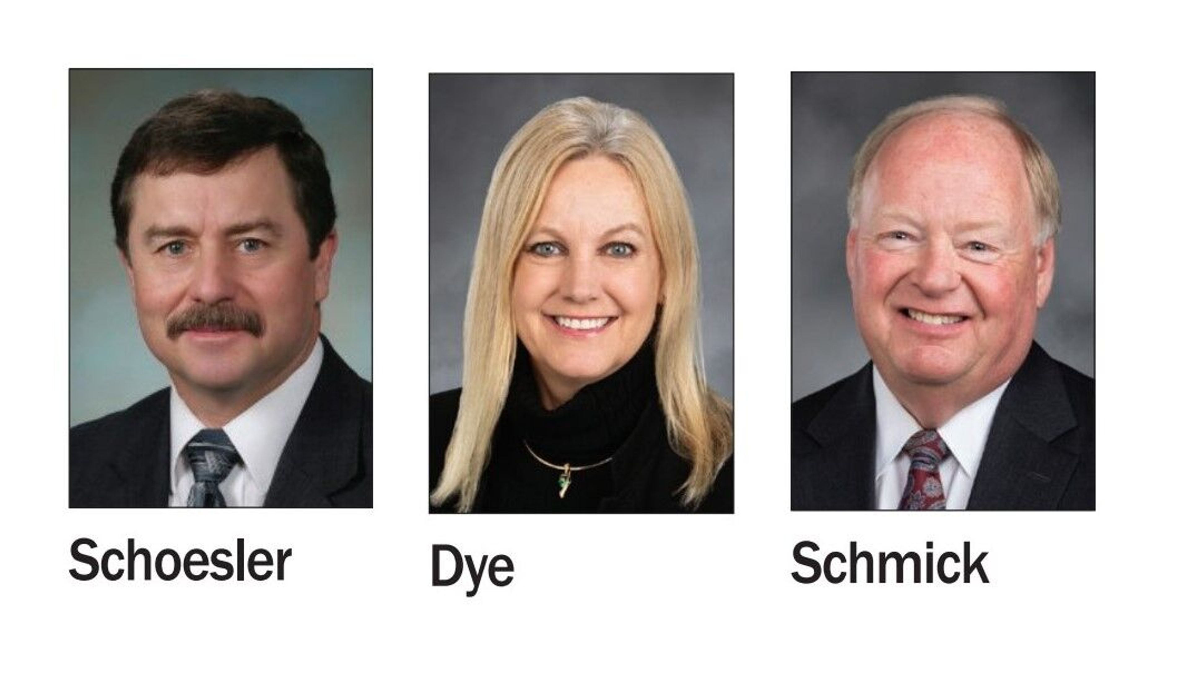 Schoesler, Dye, Schmick