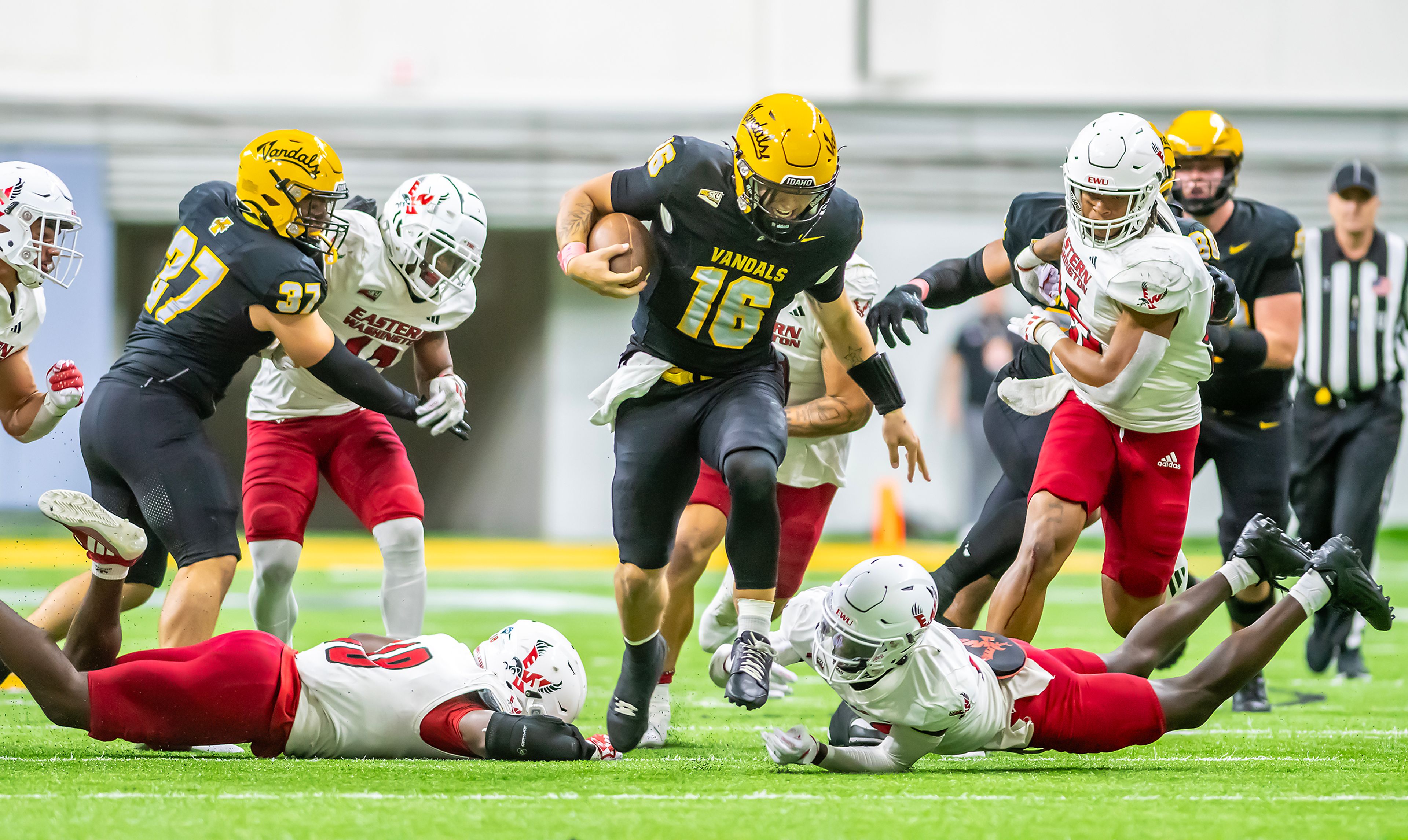 Idaho quarterback Rocco Koch runs the ball down the field against Eastern Washington during a Big Sky game Oct. 26 at the Kibbie Dome in Moscow.