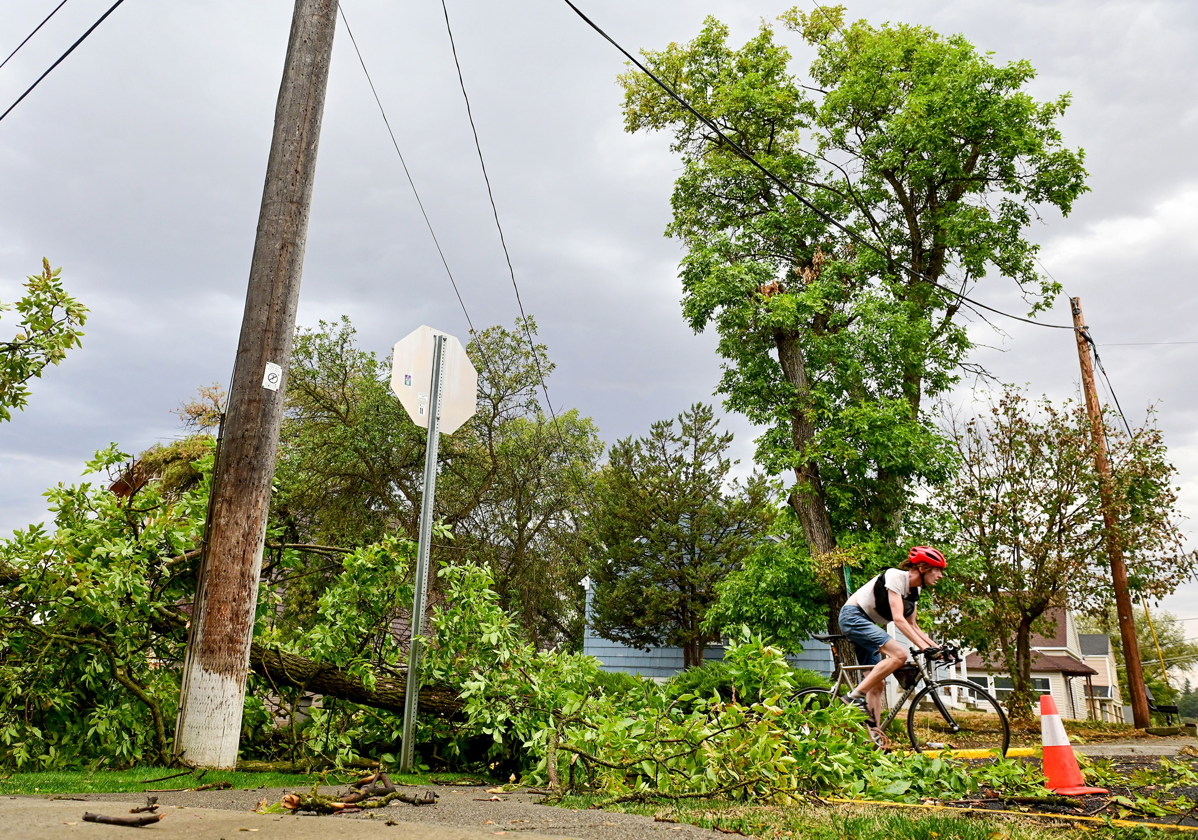 A biker moves past fallen branches from a tree at the corner of Northeast Maple Street and Northeast Maiden Lane after a dust storm and heavy rains Wednesday in Pullman. The storm featured wind gusts up to 40 mph that blew massive dust clouds through the region. Tree branches were blown down and several minor power outages were reported.