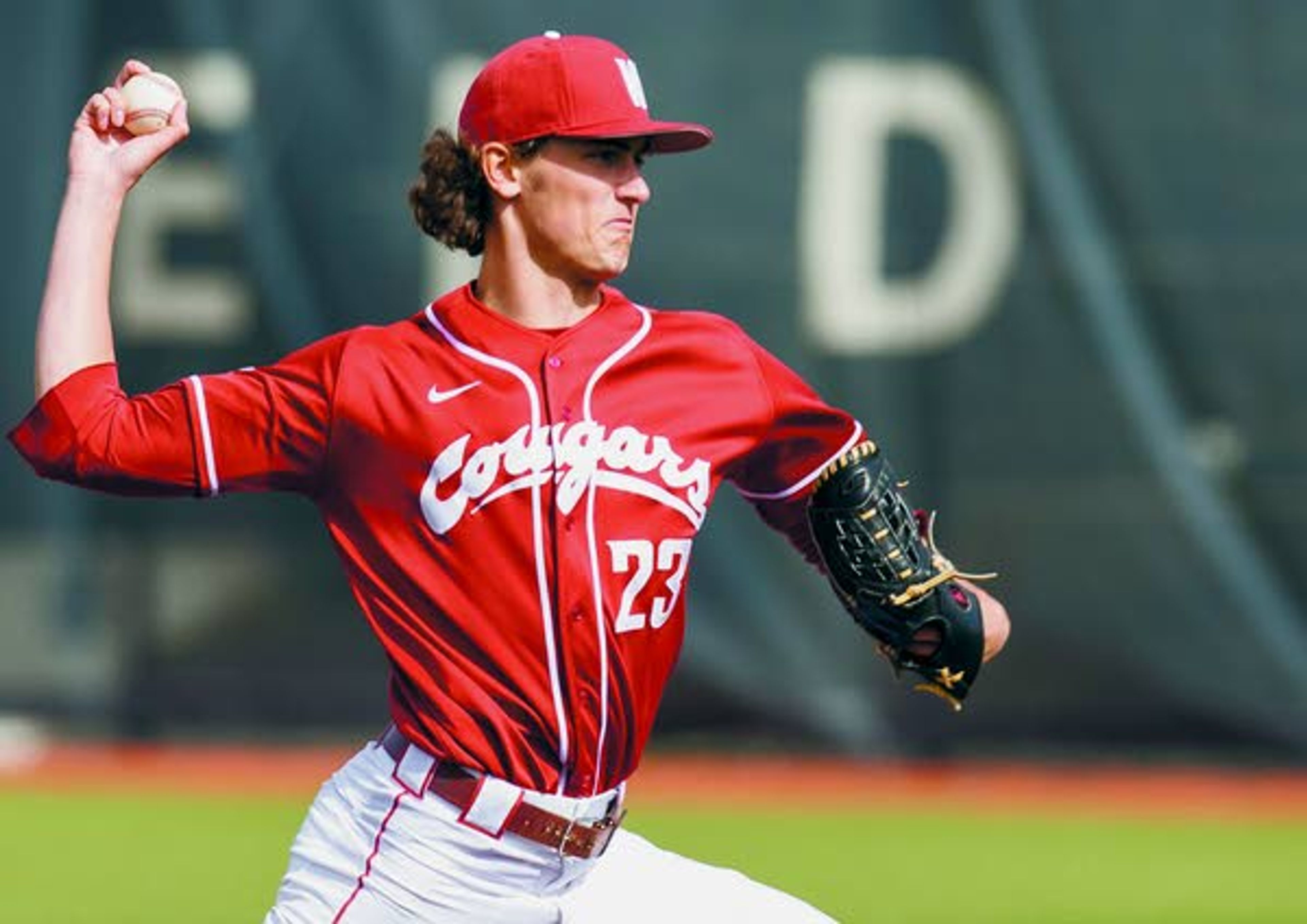 Cougar baseball wraps up 2014 campaign