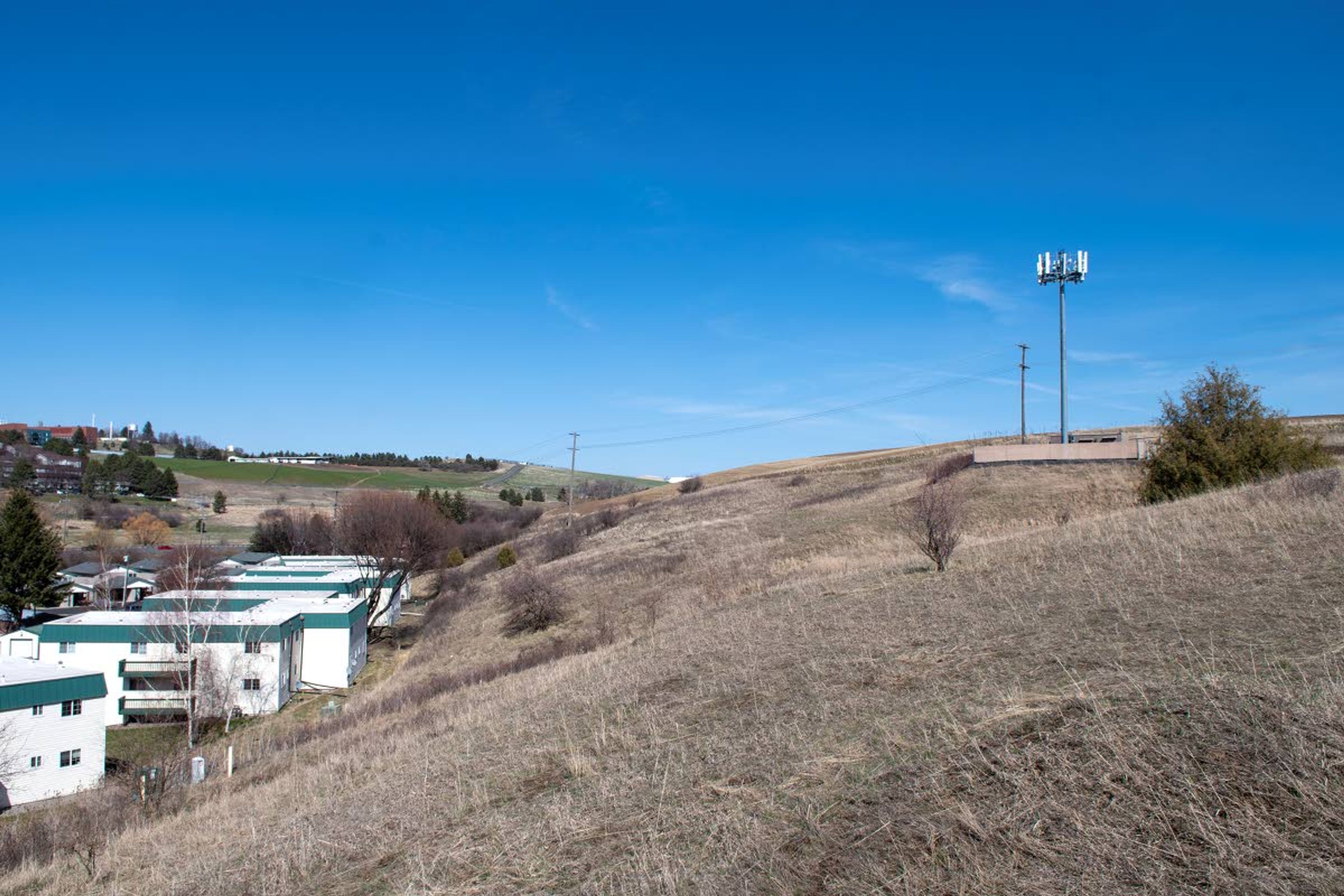 Zach Wilkinson/Daily NewsAbout 48 acres east of the intersection of Southeast Johnson Road and Bishop Boulevard is being considered for annexation by the city of Pullman. A portion of the land is seen here Friday afternoon to the southeast of Wilru Apartments.