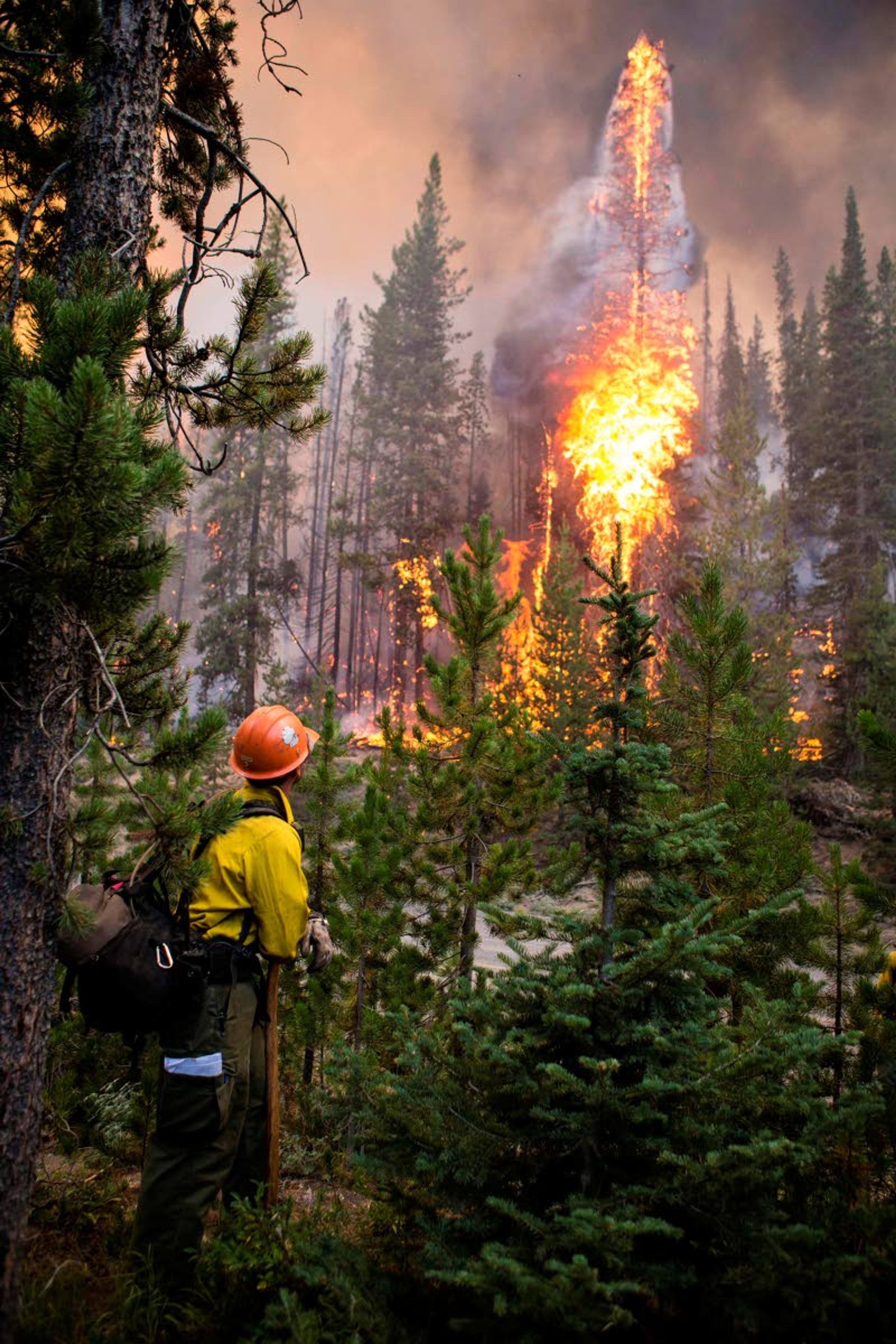 FILE - In this Aug. 7, 2019, photo released by U.S. Forest Service a firefighter watches flames from the Nethker Fire engulf trees at Payette National Forest near McCall, Idaho. Increasingly destructive Idaho wildfires that the state's Republican governor blames in part on climate change have resulted in him proposing a budget adding more firefighters as well as another $150 million for firefighting costs. (U.S. Forest Service via AP, File)