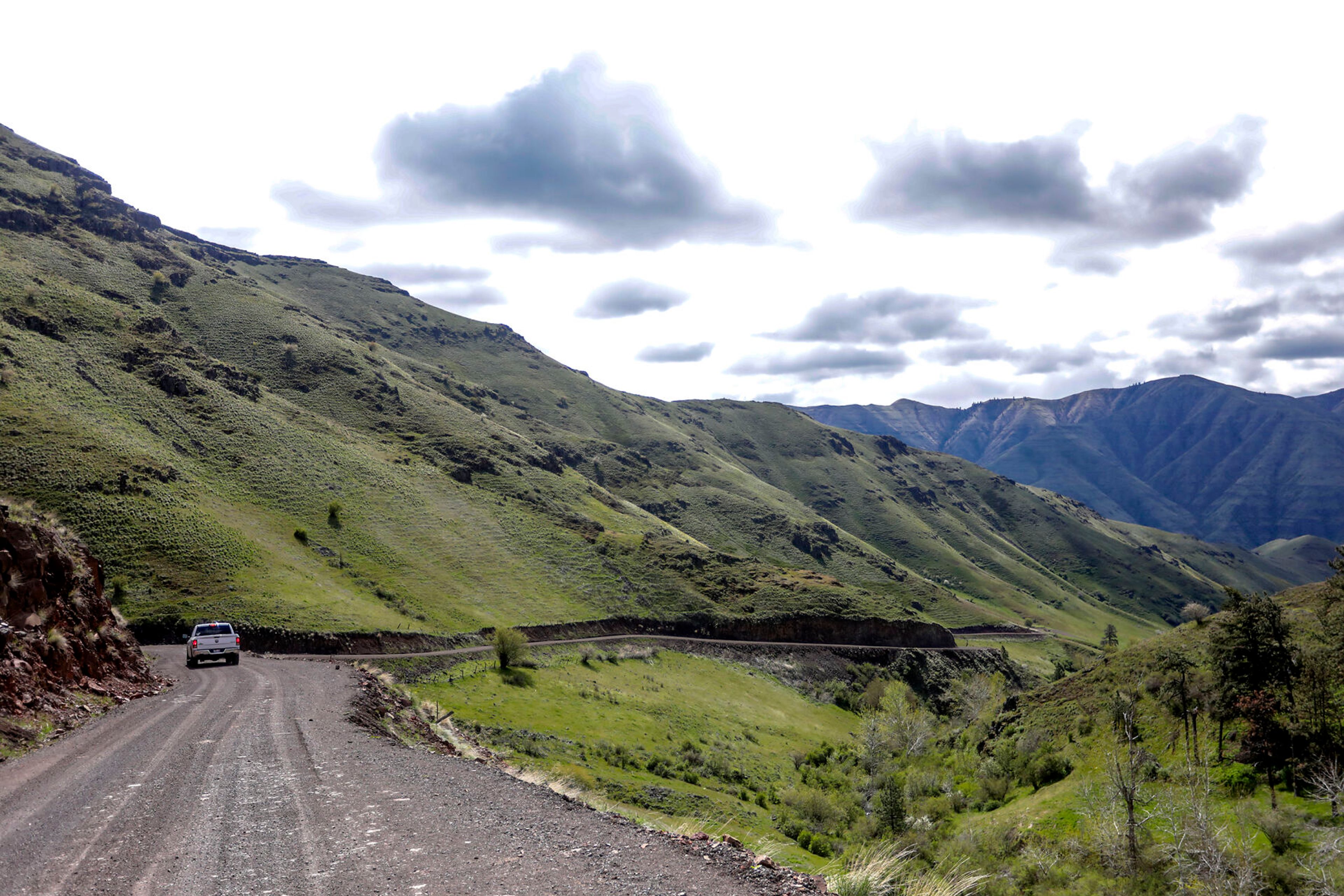 A pickup truck moves down Shumaker Road towards the Hole in the Wall along the Grande Ronde River. The gravel road is winding and only wide enough for one vehicle in places.