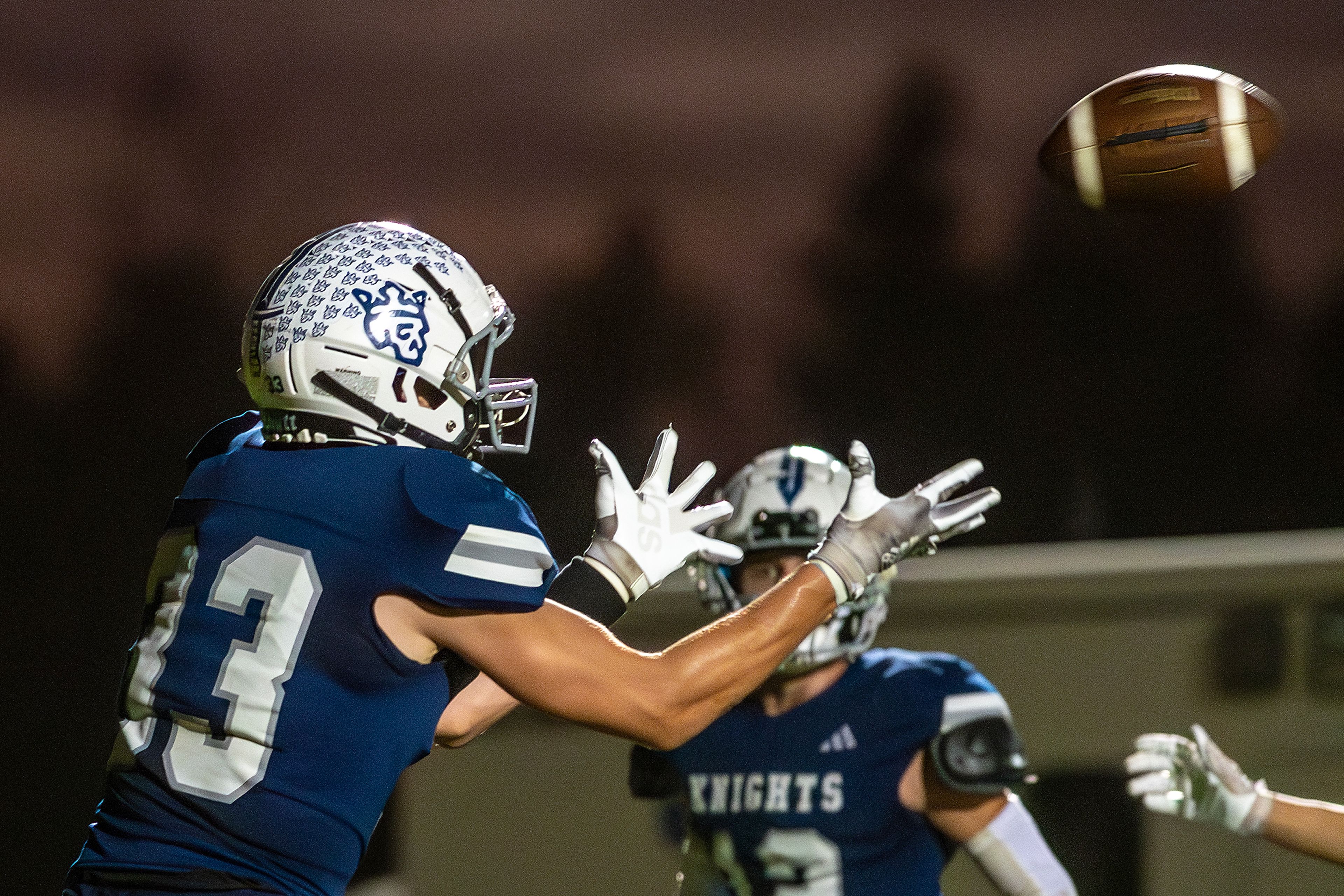 Logos George Evans makes a catch in the end zone for a touchdown against Prairie during a conference game Friday in Moscow.,