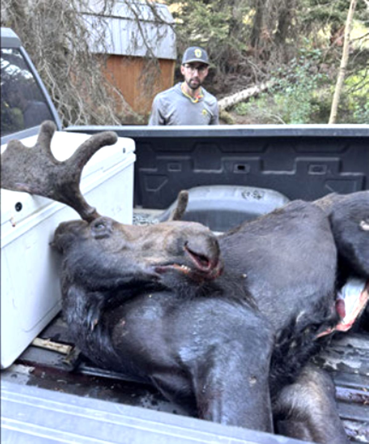 Idaho’s domestic elk farms drawing criticism