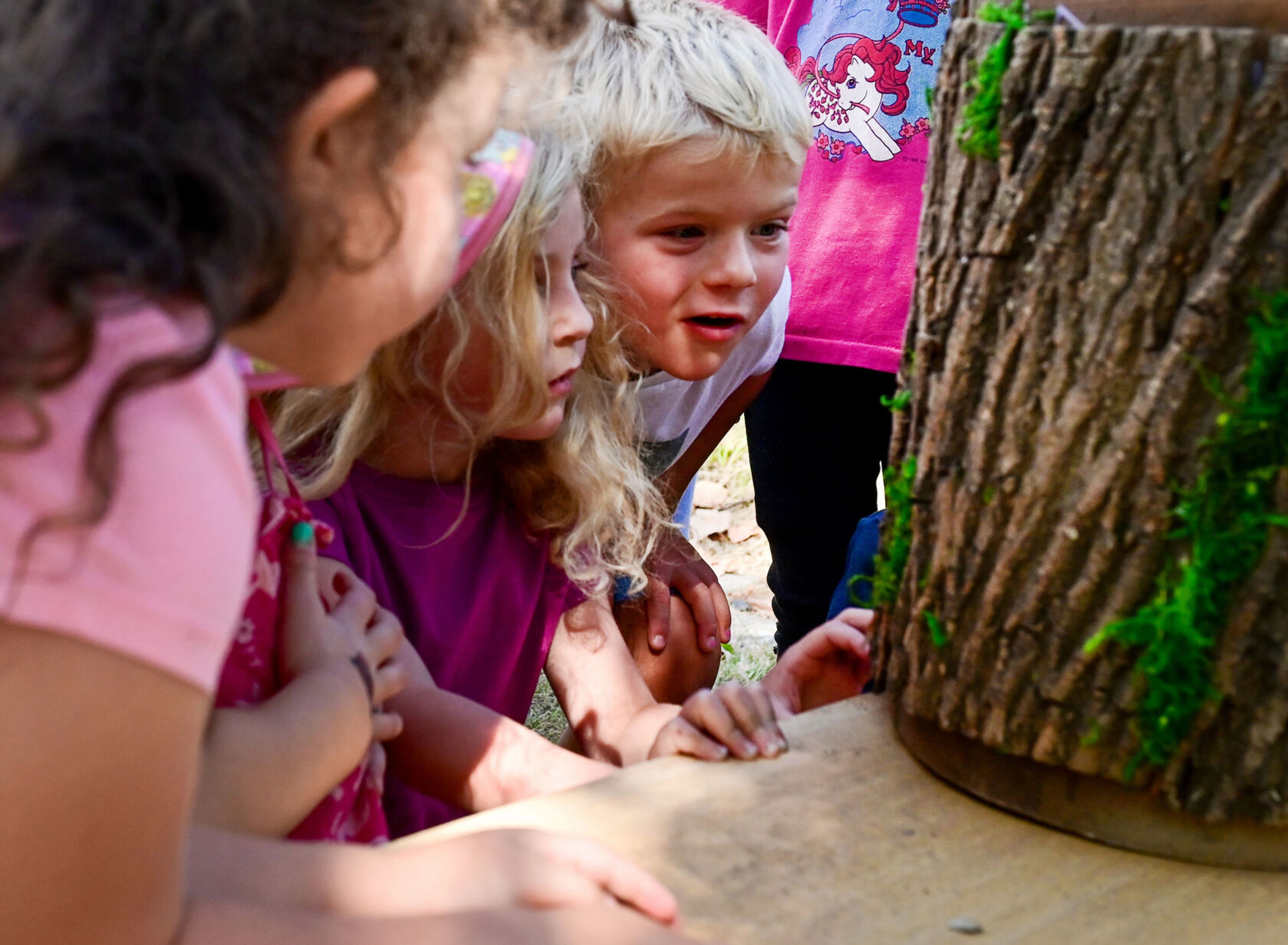 Students of Palouse Roots, Palouse-Clearwater Environmental Institute’s nature school, gather around a carrier for Hurik, a Northern pygmy owl from Washington State University, at the nature center Thursday in Moscow.