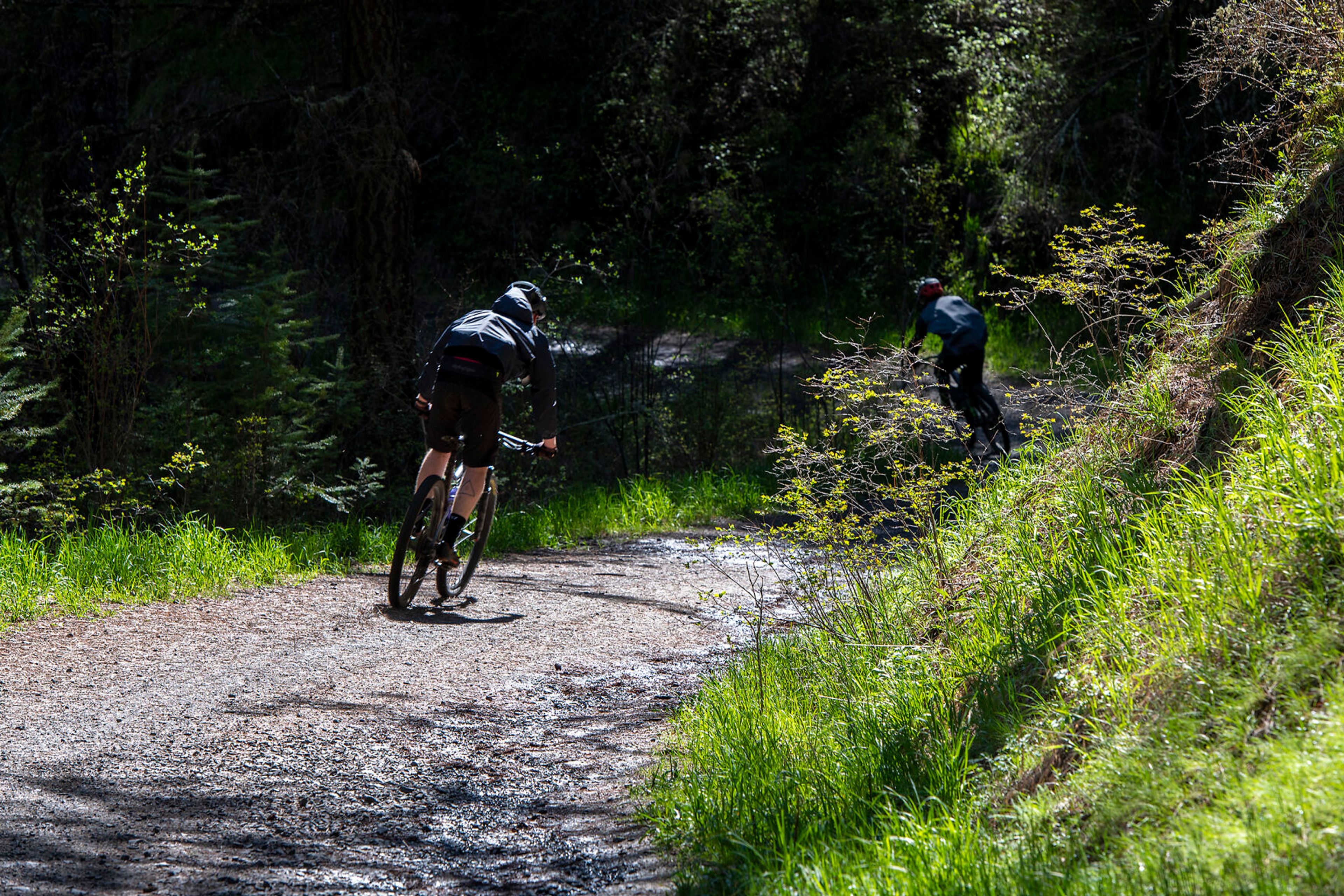 Cyclists ride down Headwaters Trail, a 5-mile loop located on Moscow Mountain.