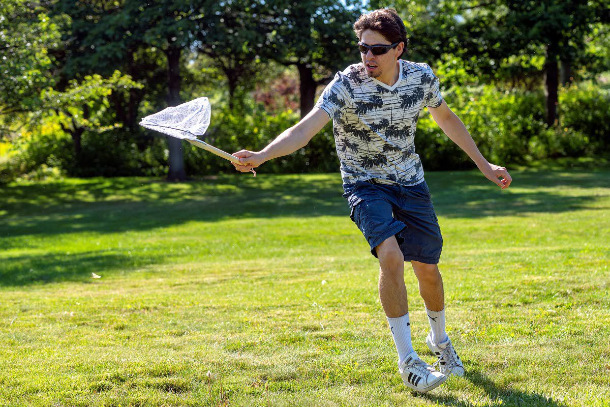 Catching butterflies