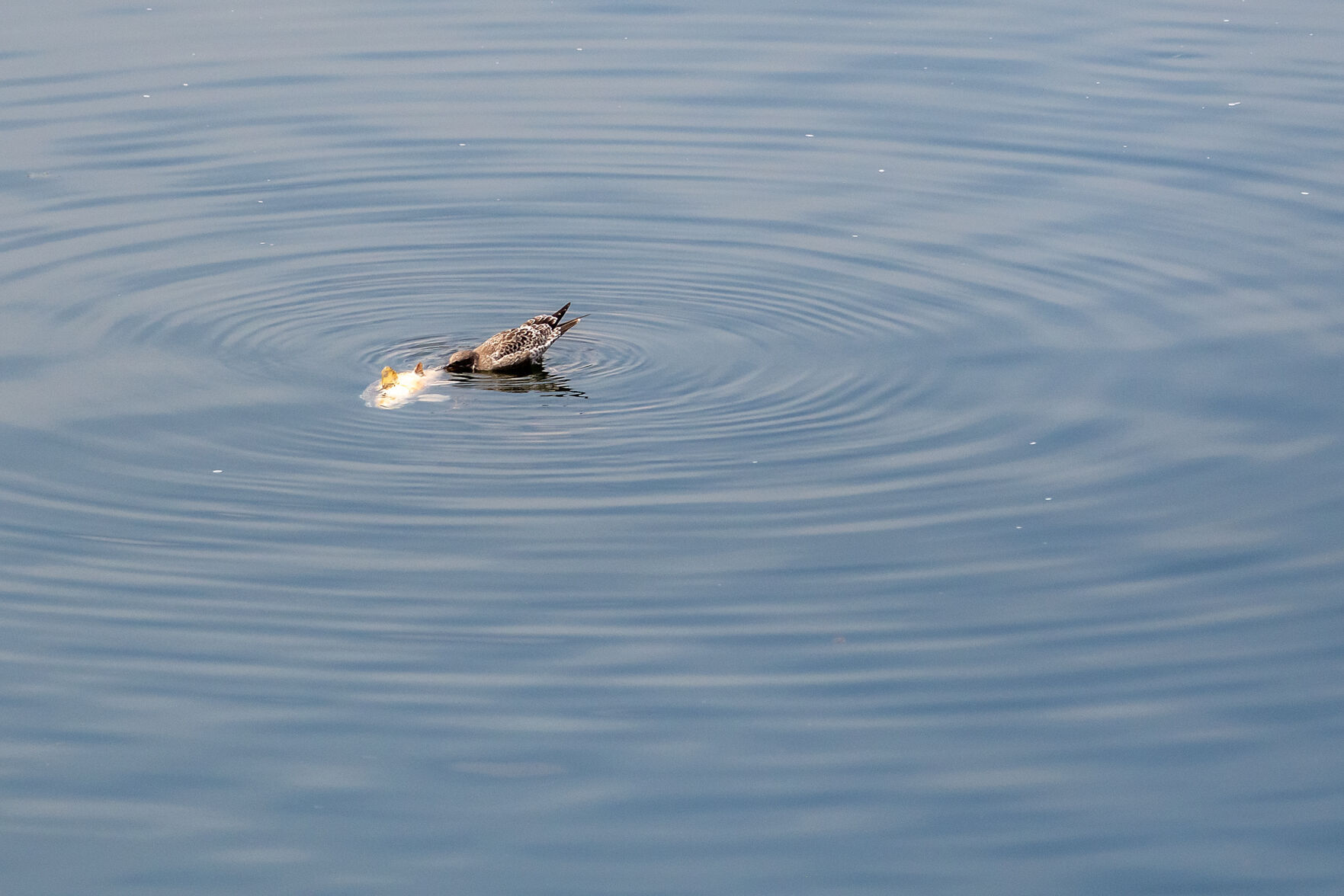 Past its expiration date