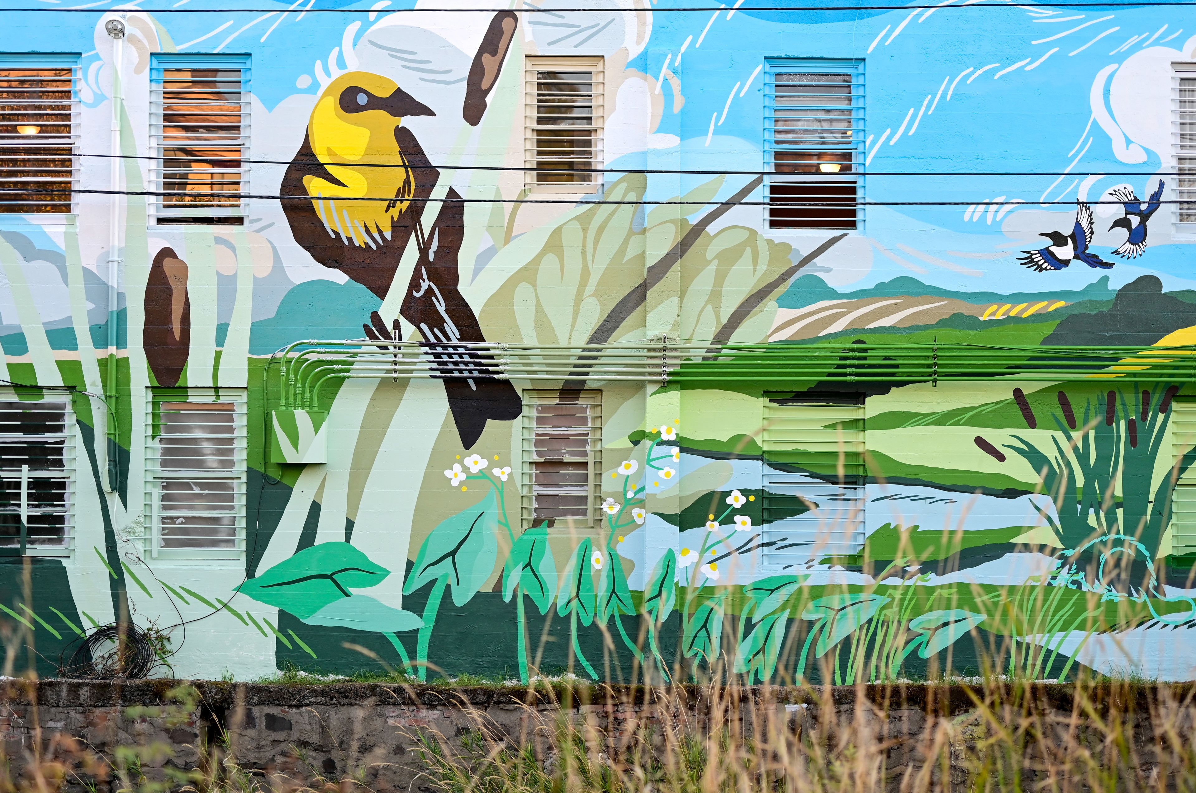 The finished mural is visible from the Downtown Pullman Riverwalk, on the back side of the building that holds Thomas Hammer Coffee Roasters.