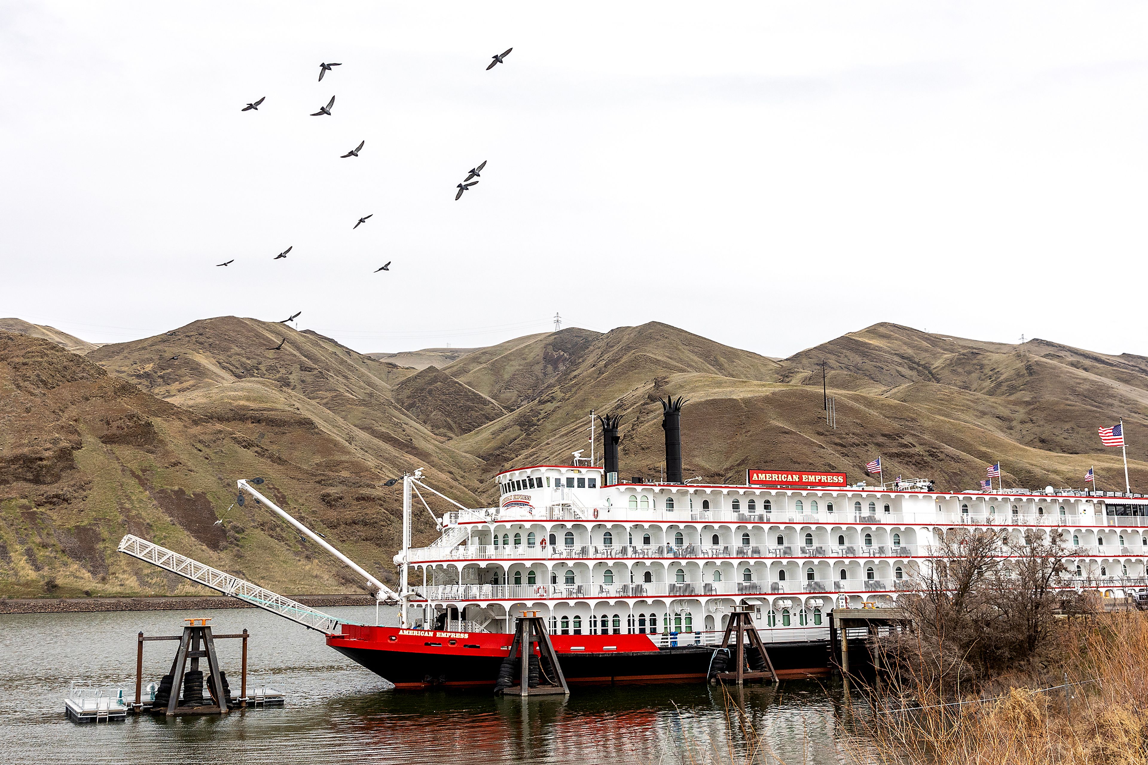 Birds fly over the American Express tour boat on Tuesday, march 28, in Clarkston.