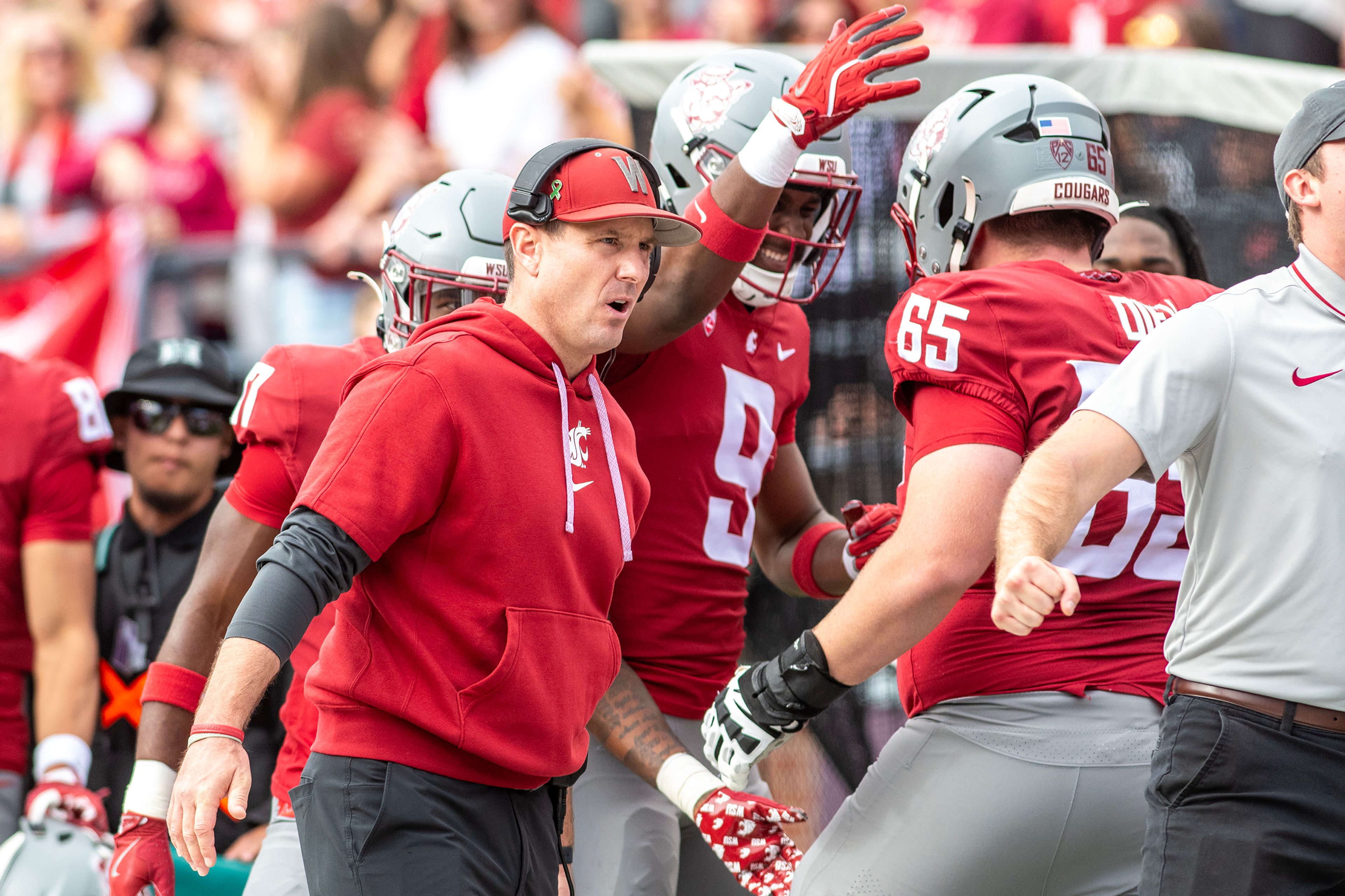 Washington State head coach Jake Dickert slaps hands with players in a college football game on Saturday at Gesa Field in Pullman.,