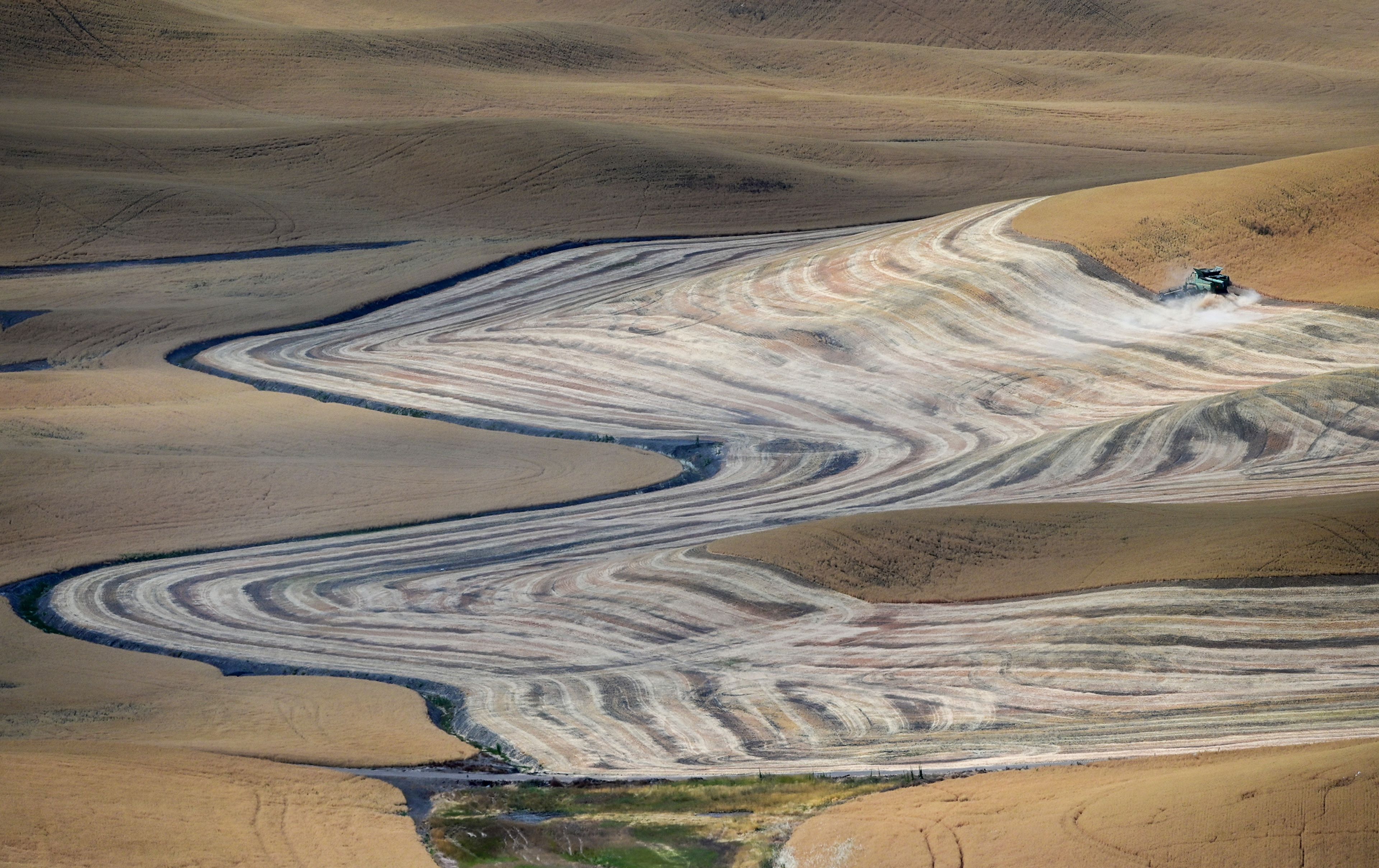 A combine is operated along the ridge of a farmer’s land on Monday from a viewpoint on Steptoe Butte.