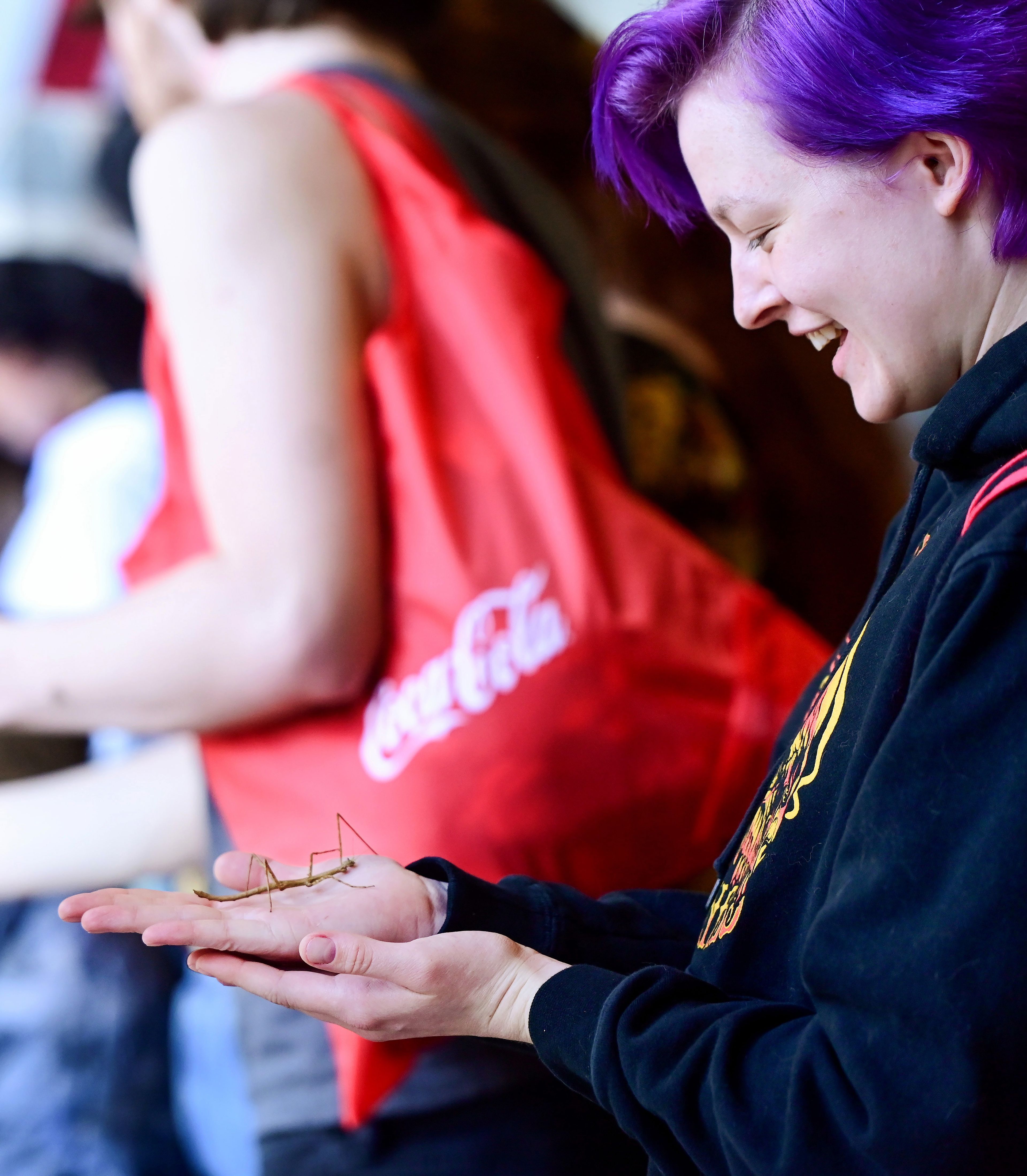 TJ Henning, a Wildlife Ecology and Conservation Sciences student at Washington State University, holds a Vietnamese stick insect, brought to the Earth Day event at Beasley Coliseum by WSU’s department of Entomology in Pullman on Sunday.