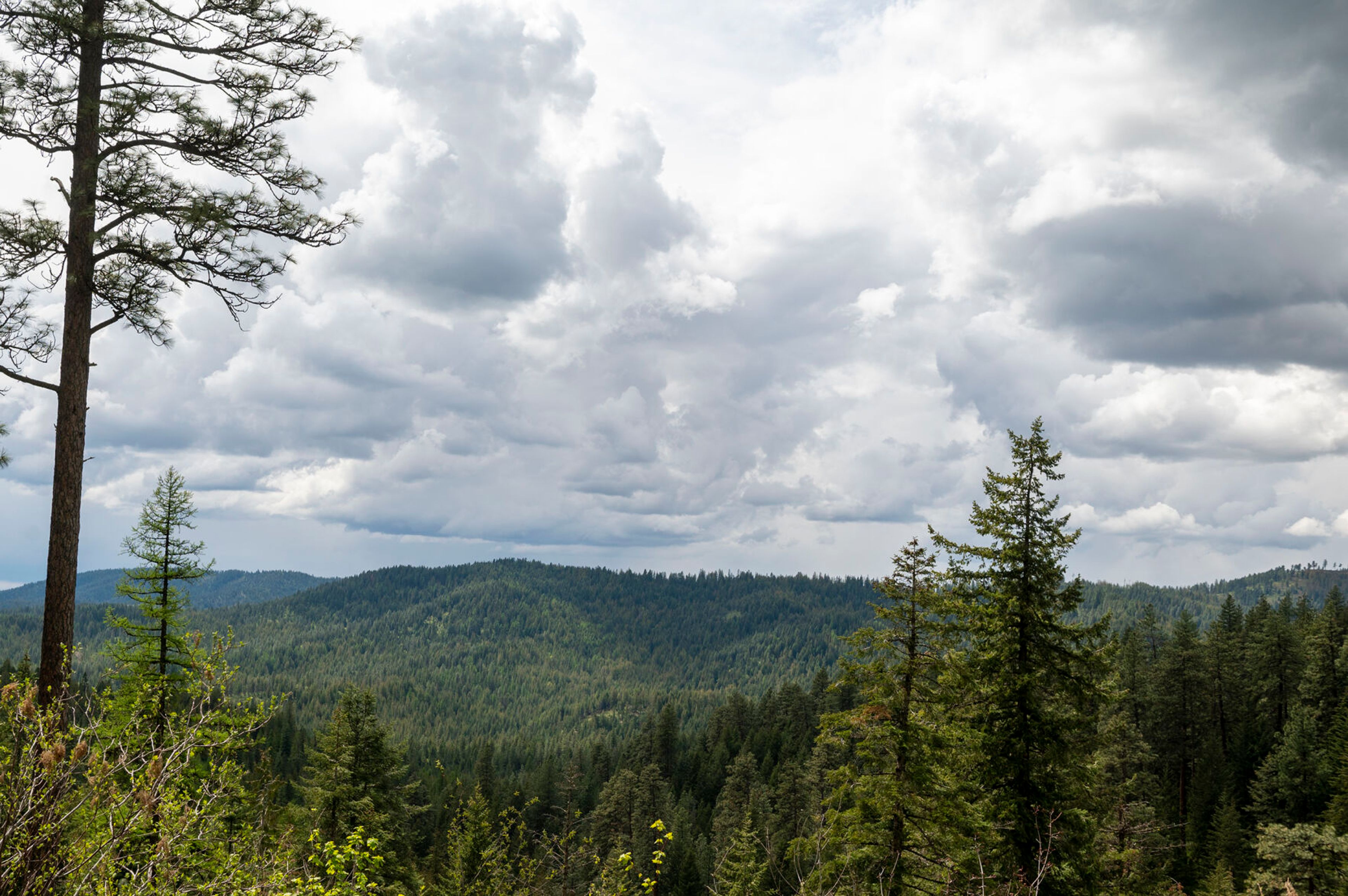 A view from an overlook along Skyline Drive at Mary McCroskey State Park in Farmington.