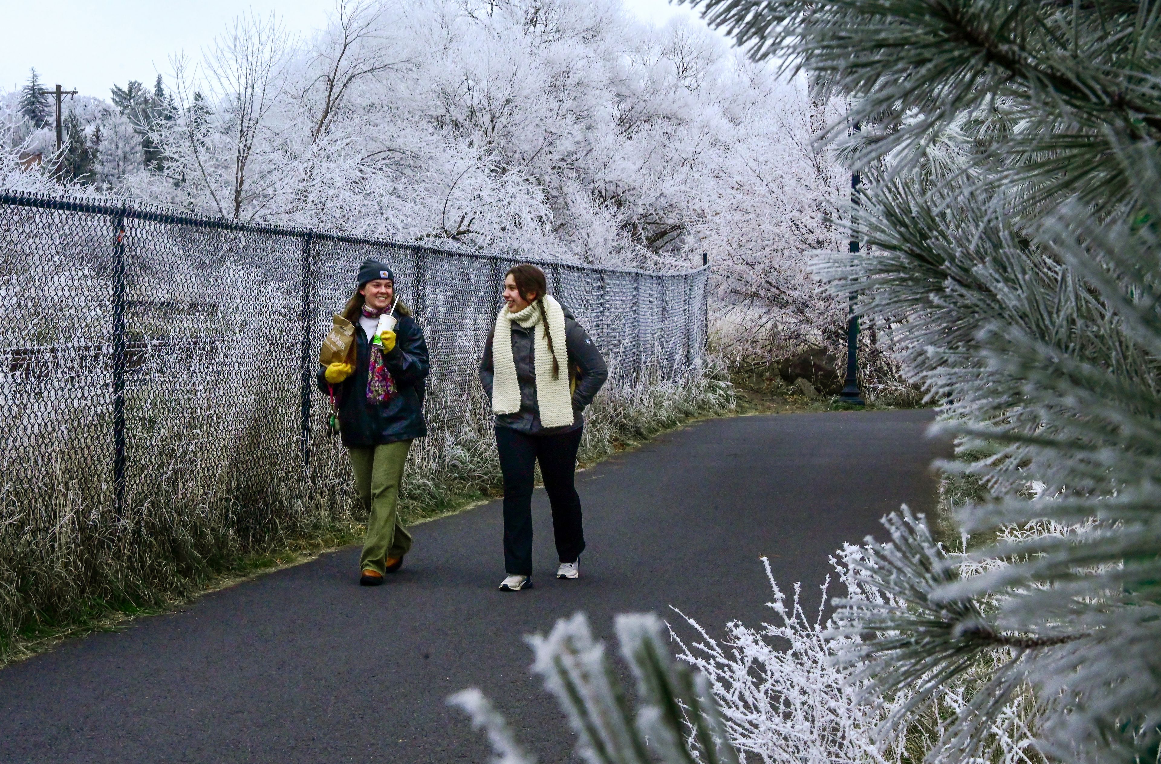 Frost sticks to the trees and grasses along the Downtown Riverwalk trail as Washington State University freshmen Isabelle Coleman and Dasha Edmonds take a walk in the frigid temperatures in Pullman on Wednesday.