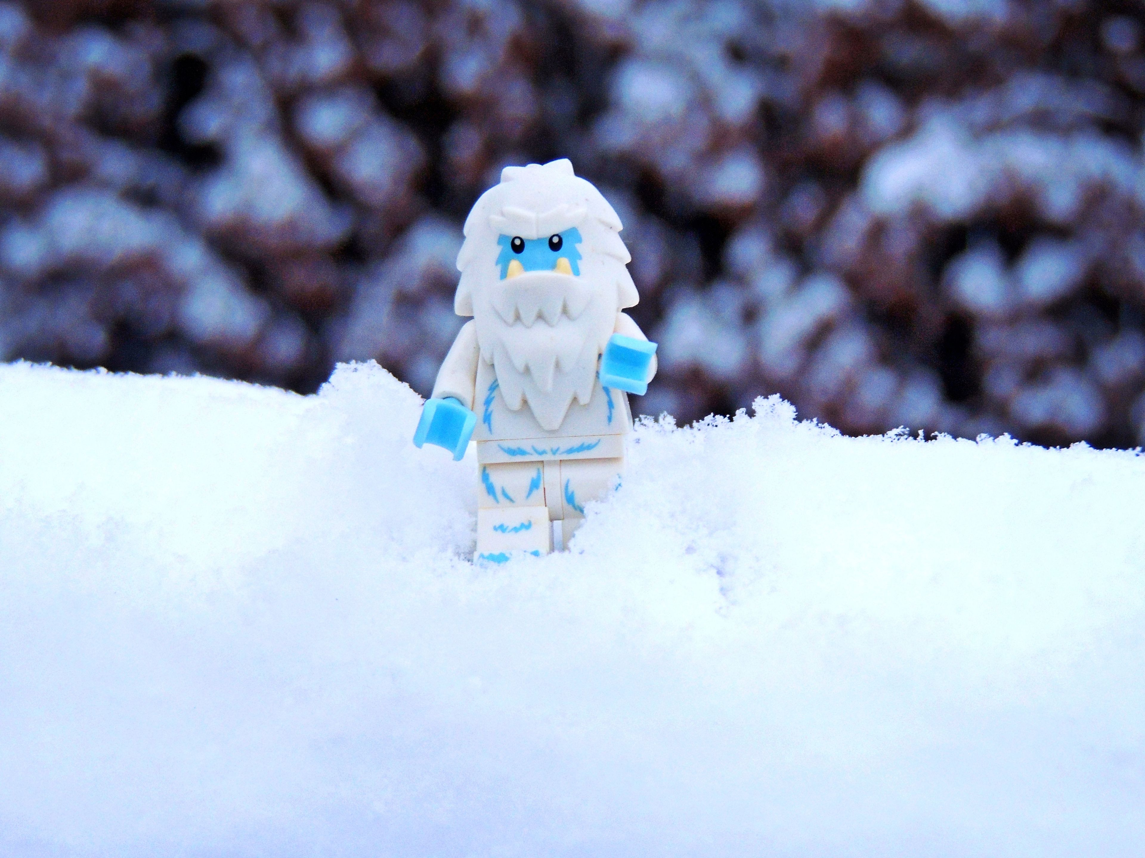 A yeti was sighted by Leif Hoffmann in the backyard of his Clarkston Height's home in the early morning hours Friday. Check out this photo and more at "Share Your Snaps," and online community photo album at inland360.com.