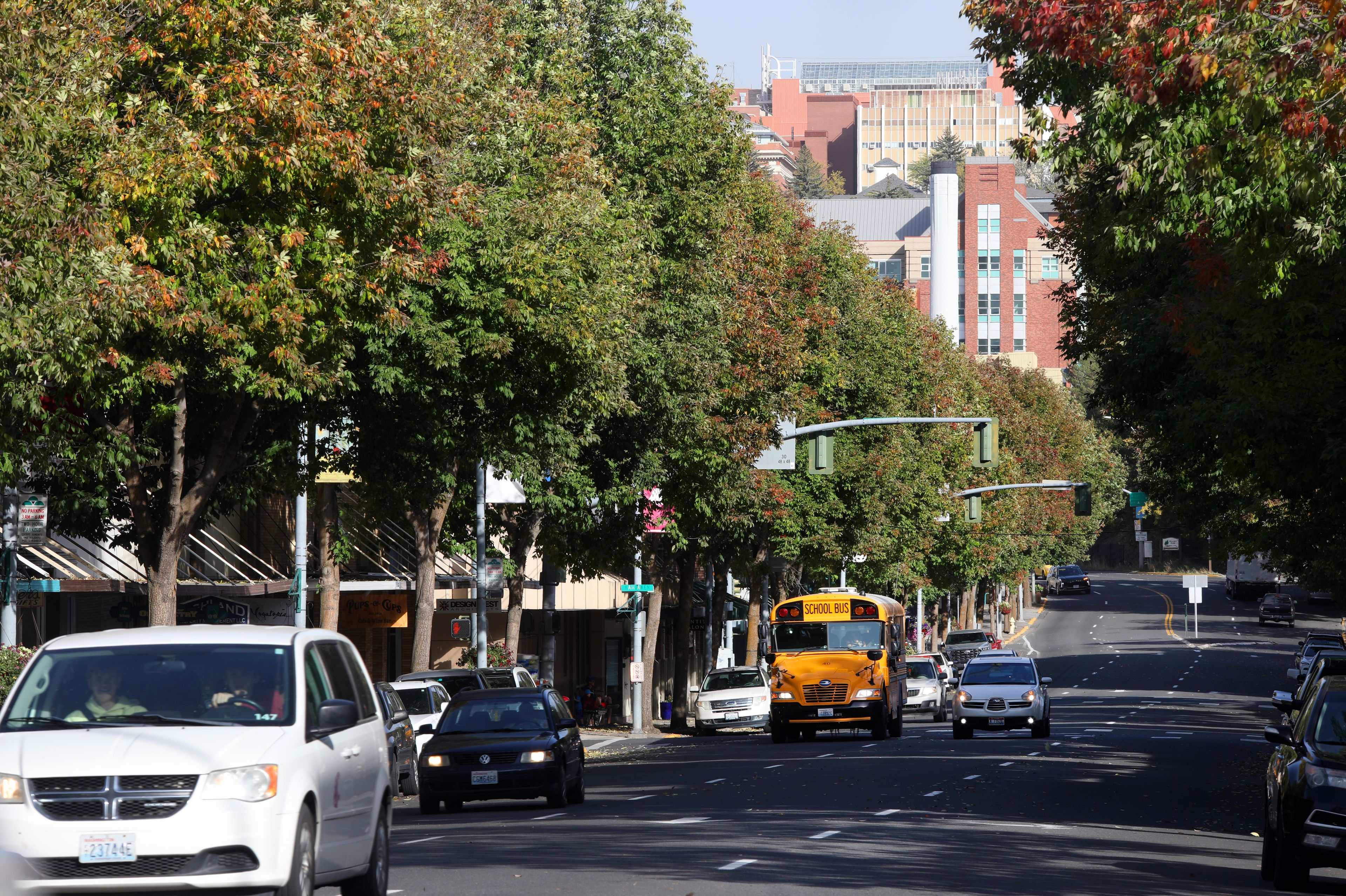 Trees line both sides of Main Street as cars move down the road in Pullman in Sept. 18.