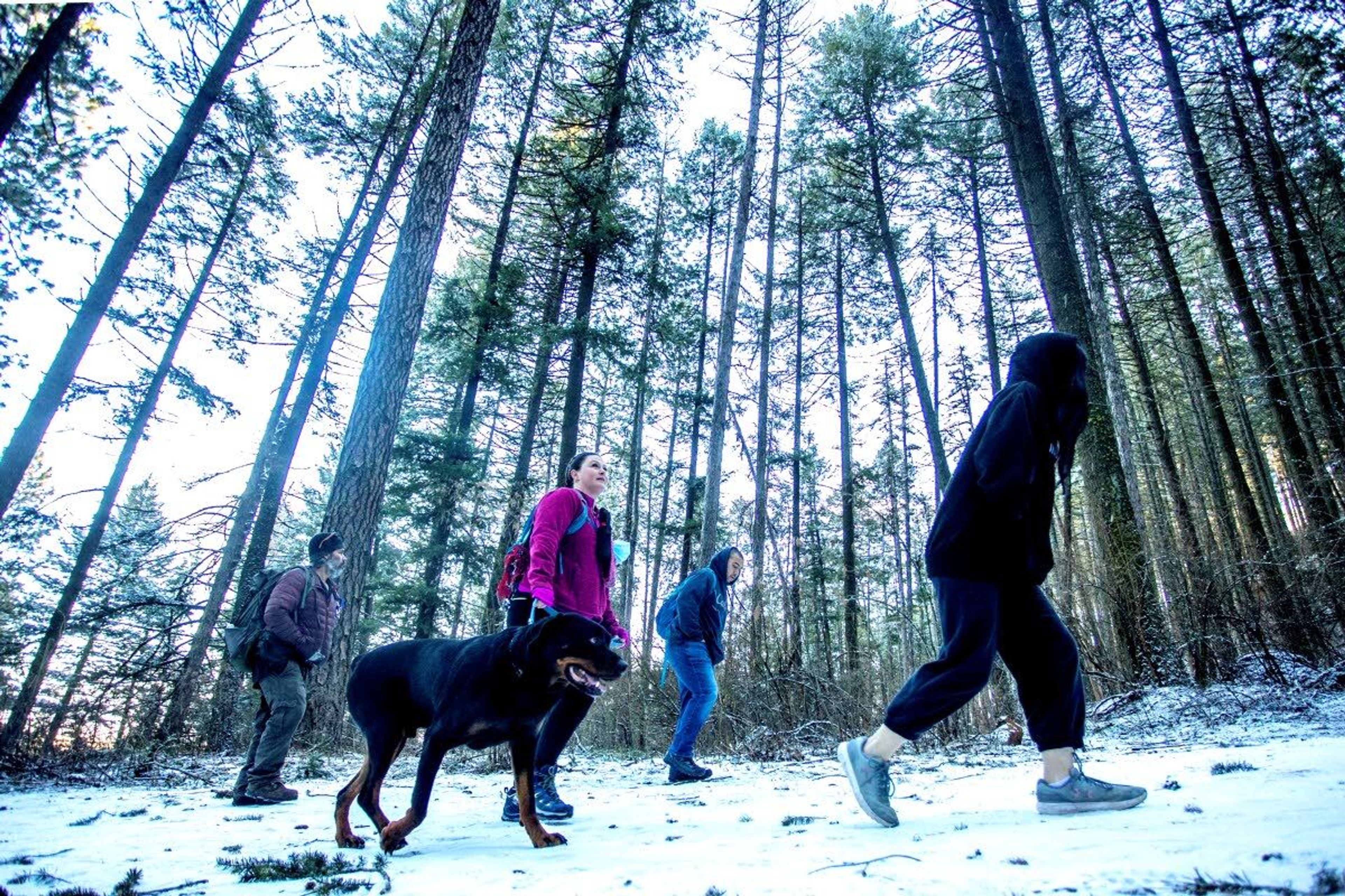 Hikers head up the snowy lower slopes of the Pine Ridge Trail leading up to Kamiak Butte on Saturday.