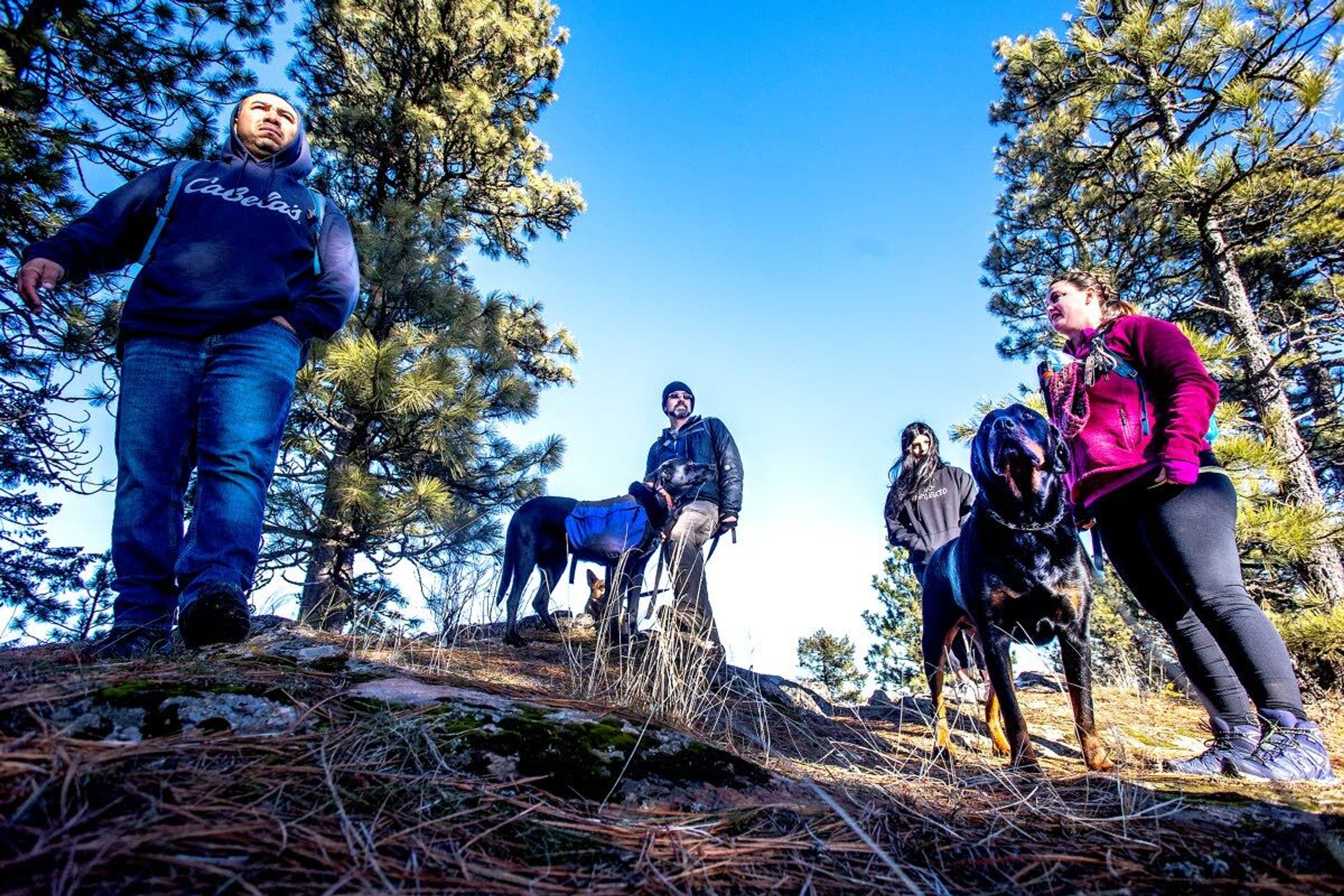 Rodo Arebalo (from left), of Pullman, Todd Holcomb, of Craigmont, with dogs Sassy and Sheeba, Sara DeLaCruz, 13, and Nicole DeLaCruz, with dog Brutus, stand atop a peek while hiking up the Pine Ridge Trail to the summit of Kamiak Butte with Palouse Hiking and Sauntering Adventurers on Saturday.