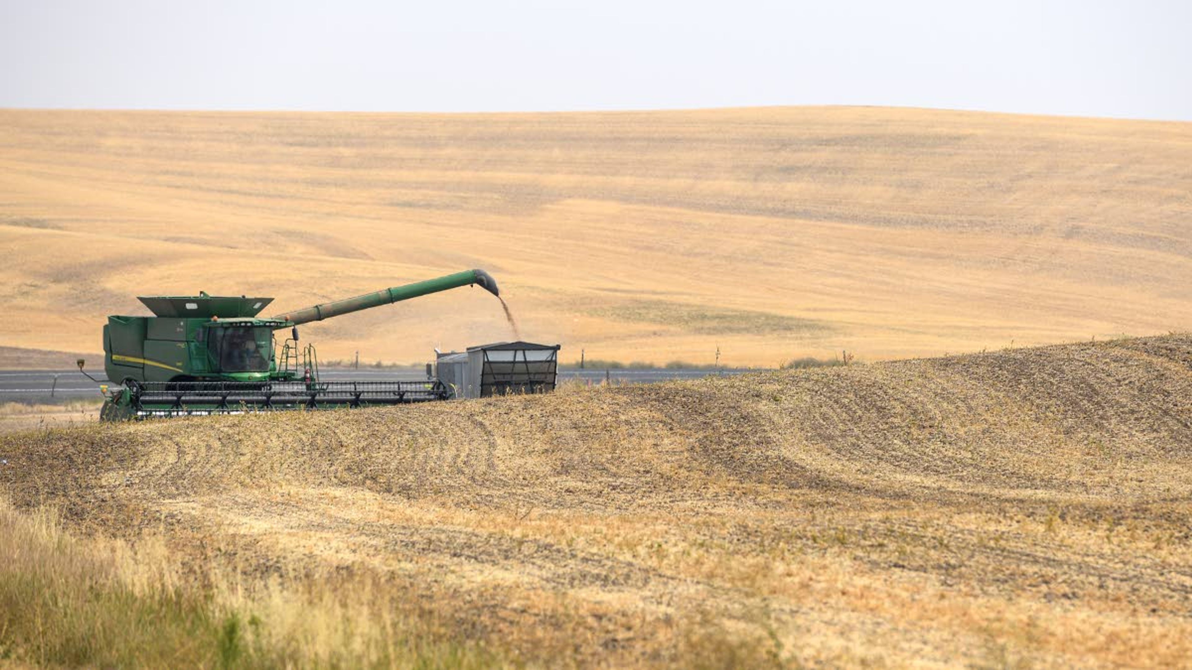 A combine harvester unloads grains of wheat into a grain trailer along U.S. Highway 195 on Wednesday afternoon in Pullman.Zach Wilkinson/ Daily News