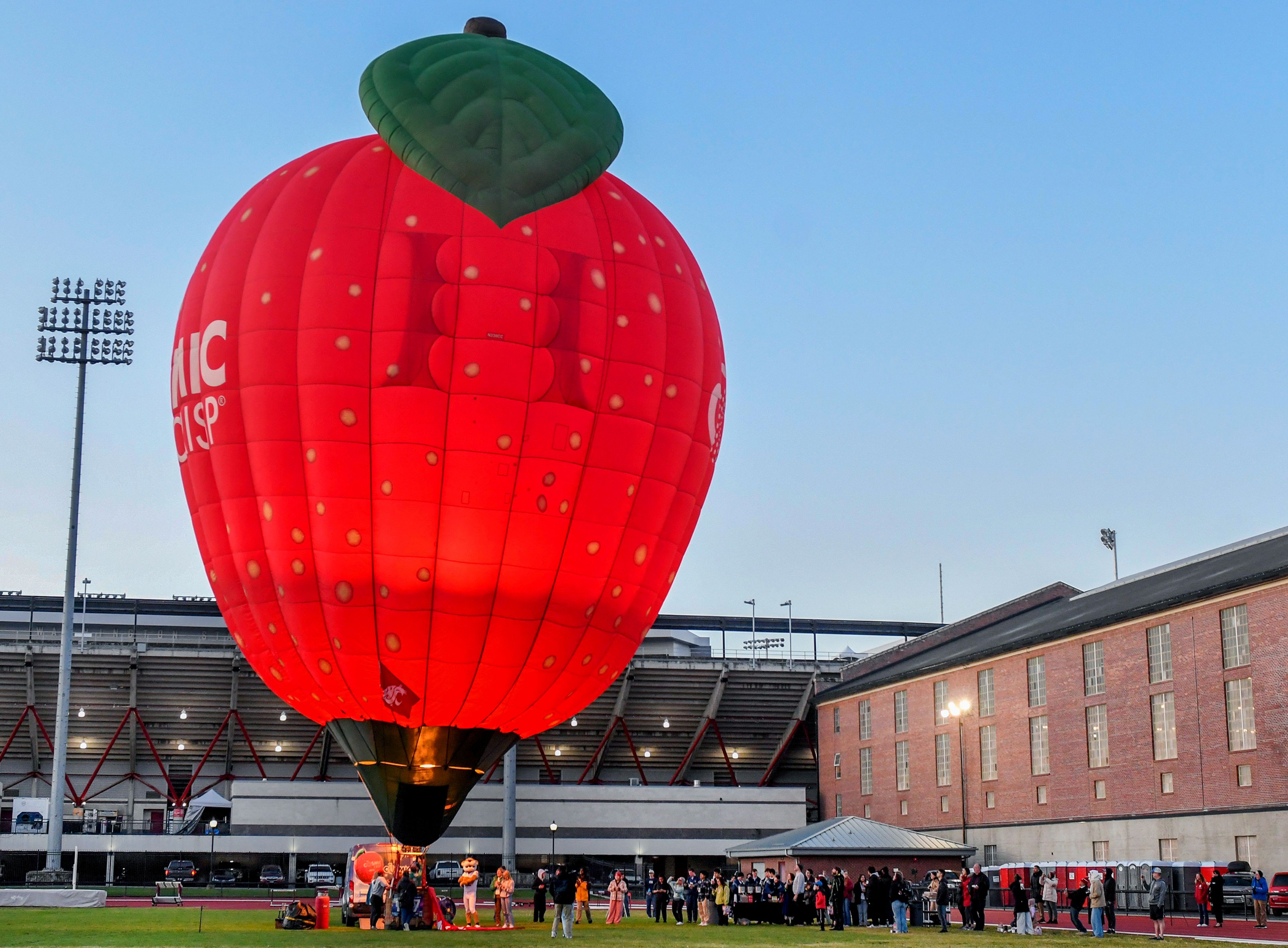 The Cosmic Crisp hot air balloon, designed in the image of its namesake apple variety, prepares for takeoff as the sun rises Tuesday at the Washington State University Mooberry Track and Field Complex in Pullman. The balloon returned to campus later in the day to close out a two-day Cosmic Crisp Celebration at WSU.