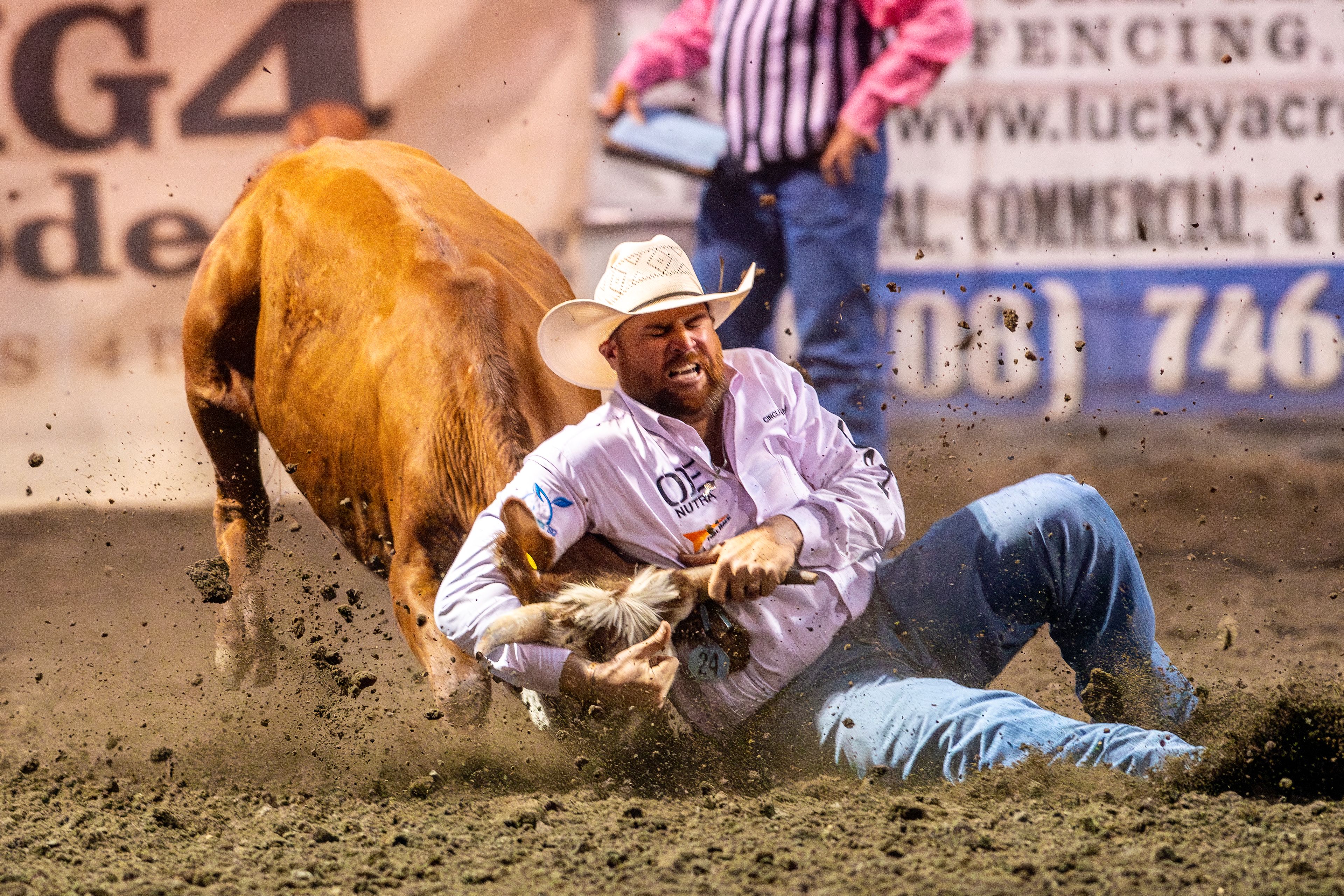 Jason Thomas wrestles his steer down in the steer wrestling competition on day 3 of the Lewiston Roundup.