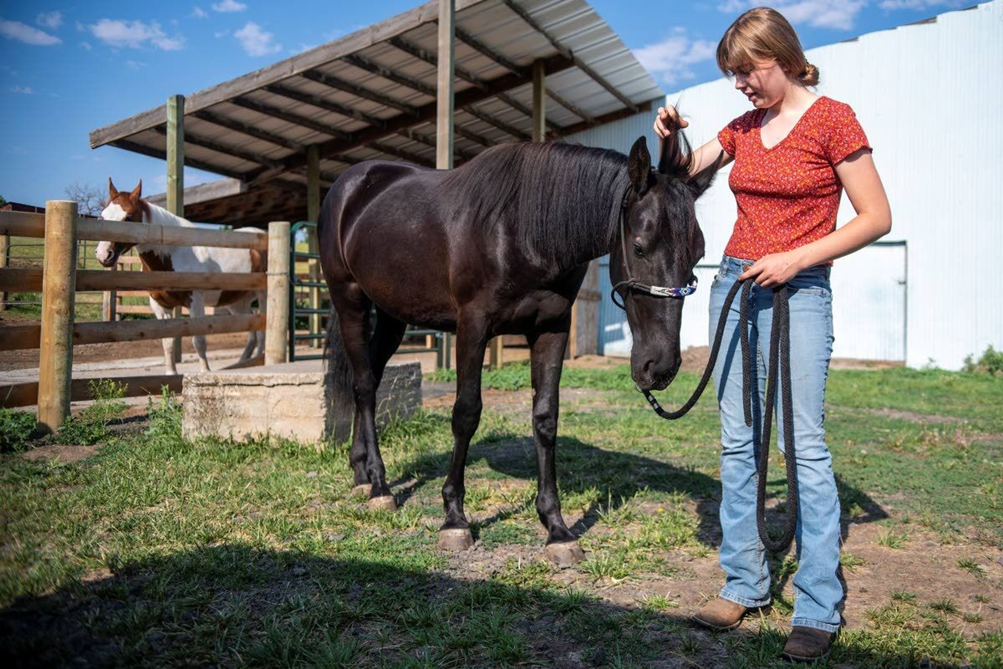 Hylton runs her hand through Lyra’s mane as another horse named Arrow watches behind a fence.