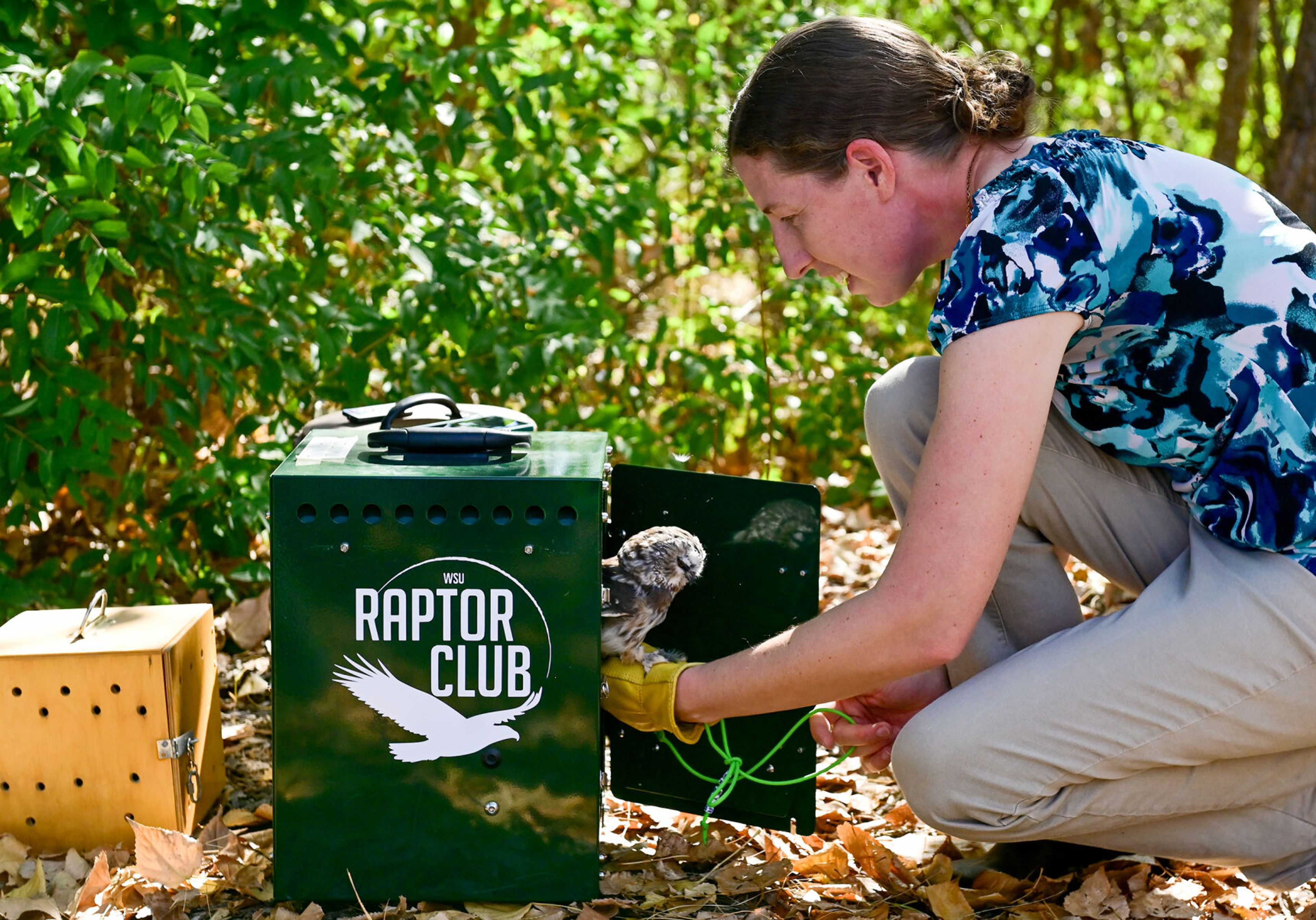 Marcie Logsdon, left, a professor and wildlife veterinarian at Washington State University, takes Sawyer, a Northern saw-whet owl, out of a travel container to show the owl to members of Palouse Roots, Palouse-Clearwater Environmental Institute’s nature school, before the release of a Western screech owl at the nature center Thursday in Moscow.