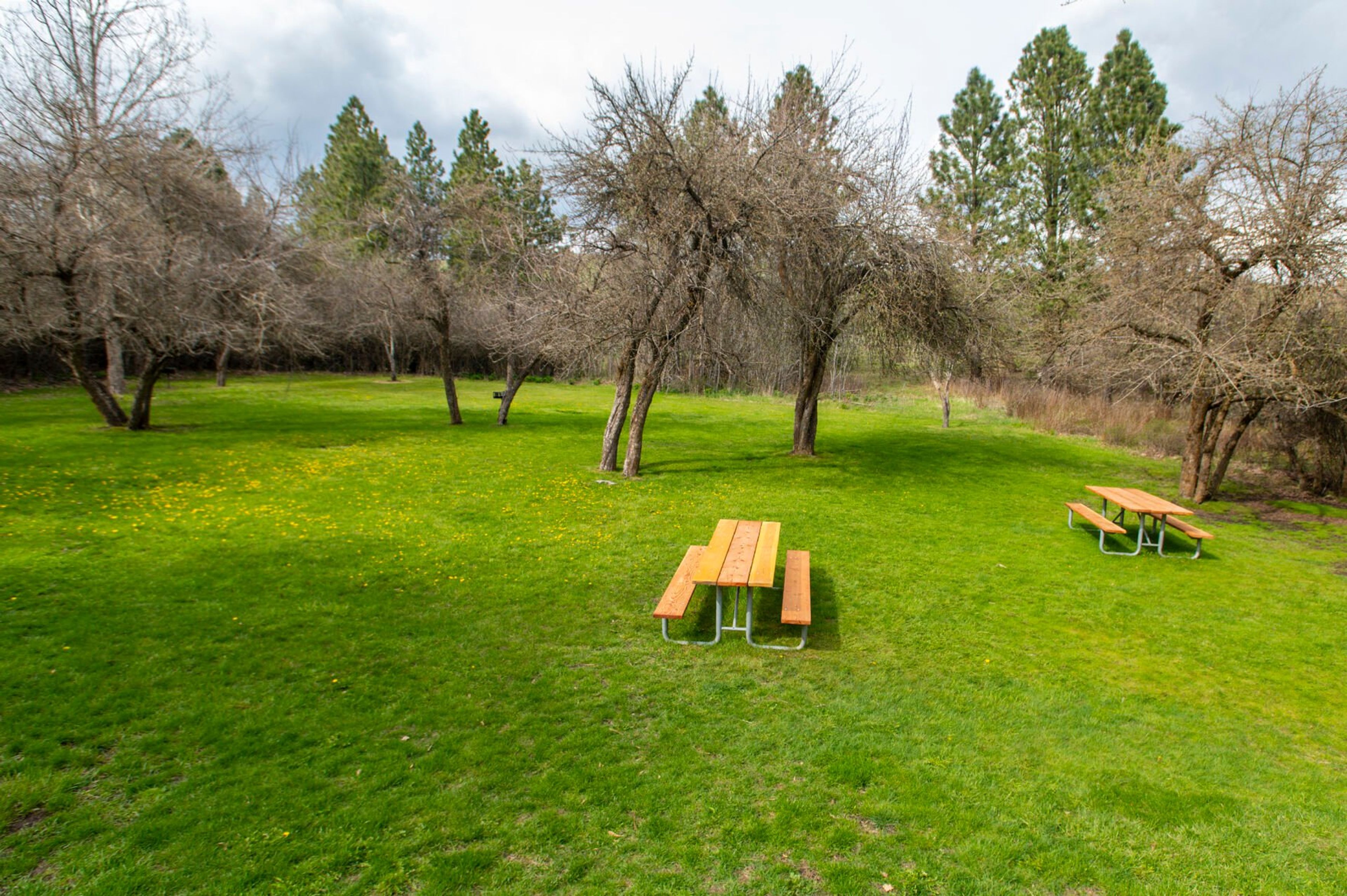 Picnic benches can be found at the the 168-acre day-use area of Steptoe Butte State Park.