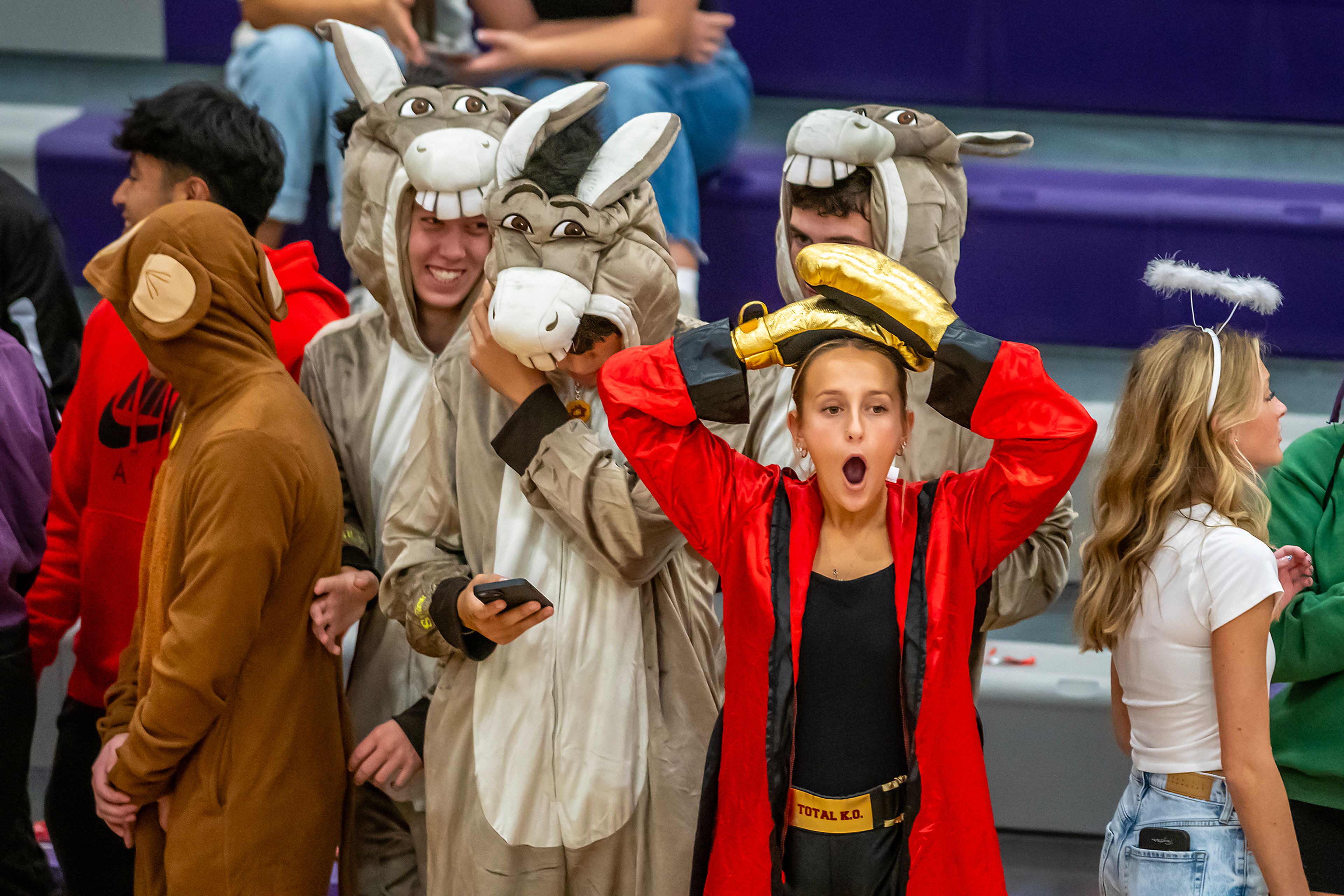 A Lewiston fan reacts in a 5A district tournament match between Lewiston and Moscow Tuesday in Lewiston.