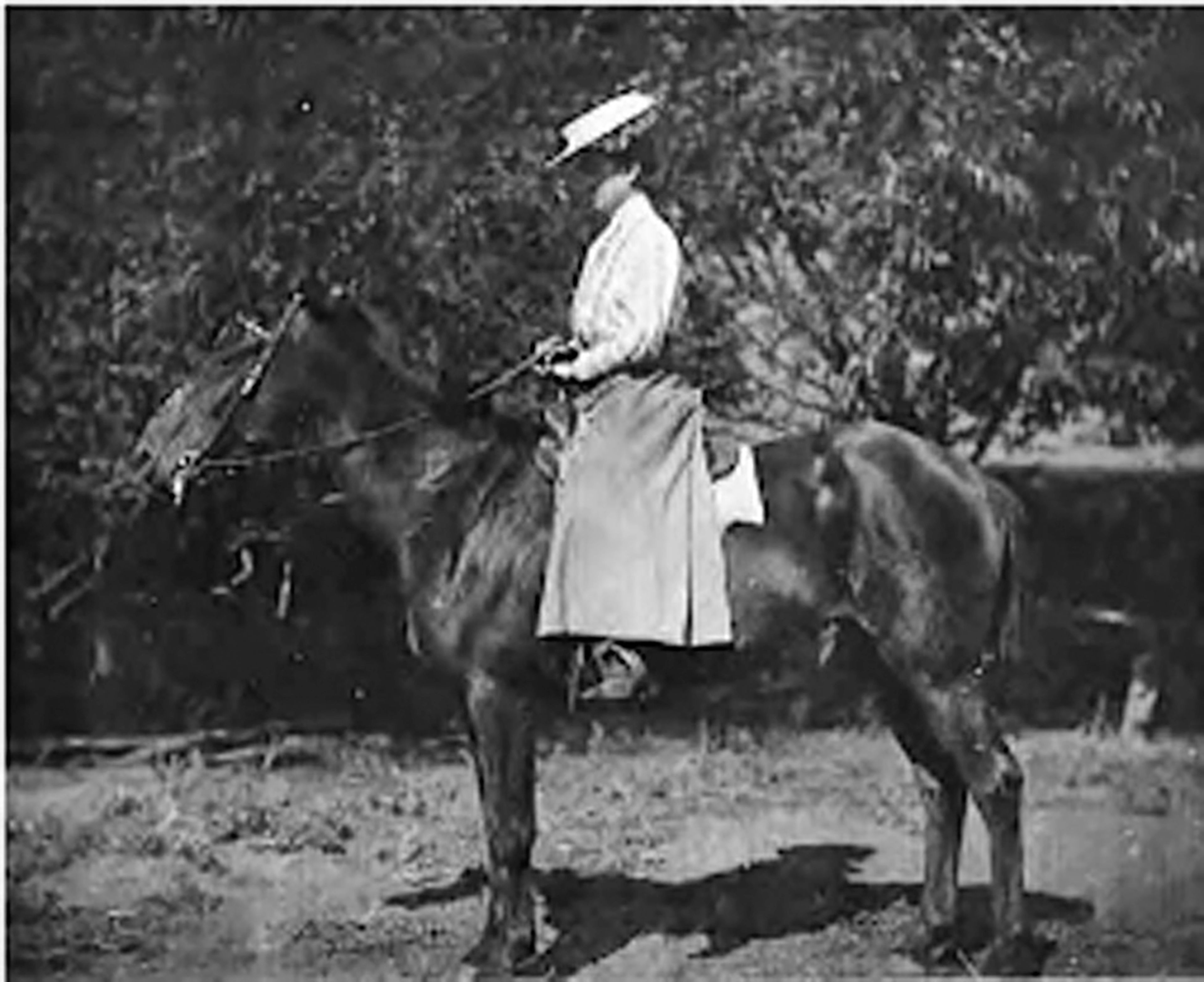 Mary Frances White is photographed around 1890, about age 50 or so. Note that she is riding her horse astride instead of sidesaddle.
