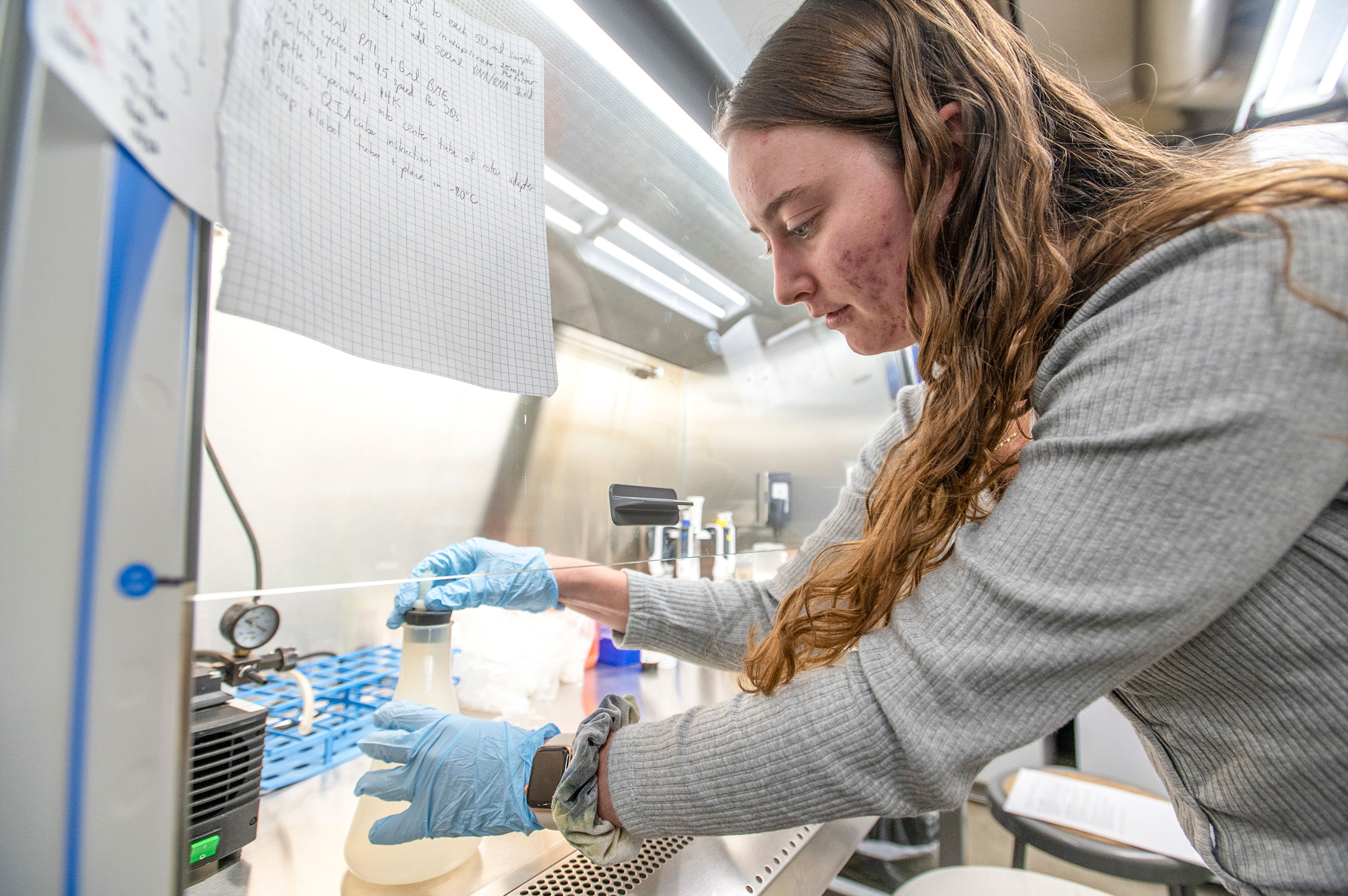 Research specialist Solana Narum of University of Idaho’s Department of Civil and Environmental Engineering examines a sample of wastewater being held on a biosafety cabinet inside the Buchanan Engineering Laboratory on Friday afternoon on campus in Moscow.