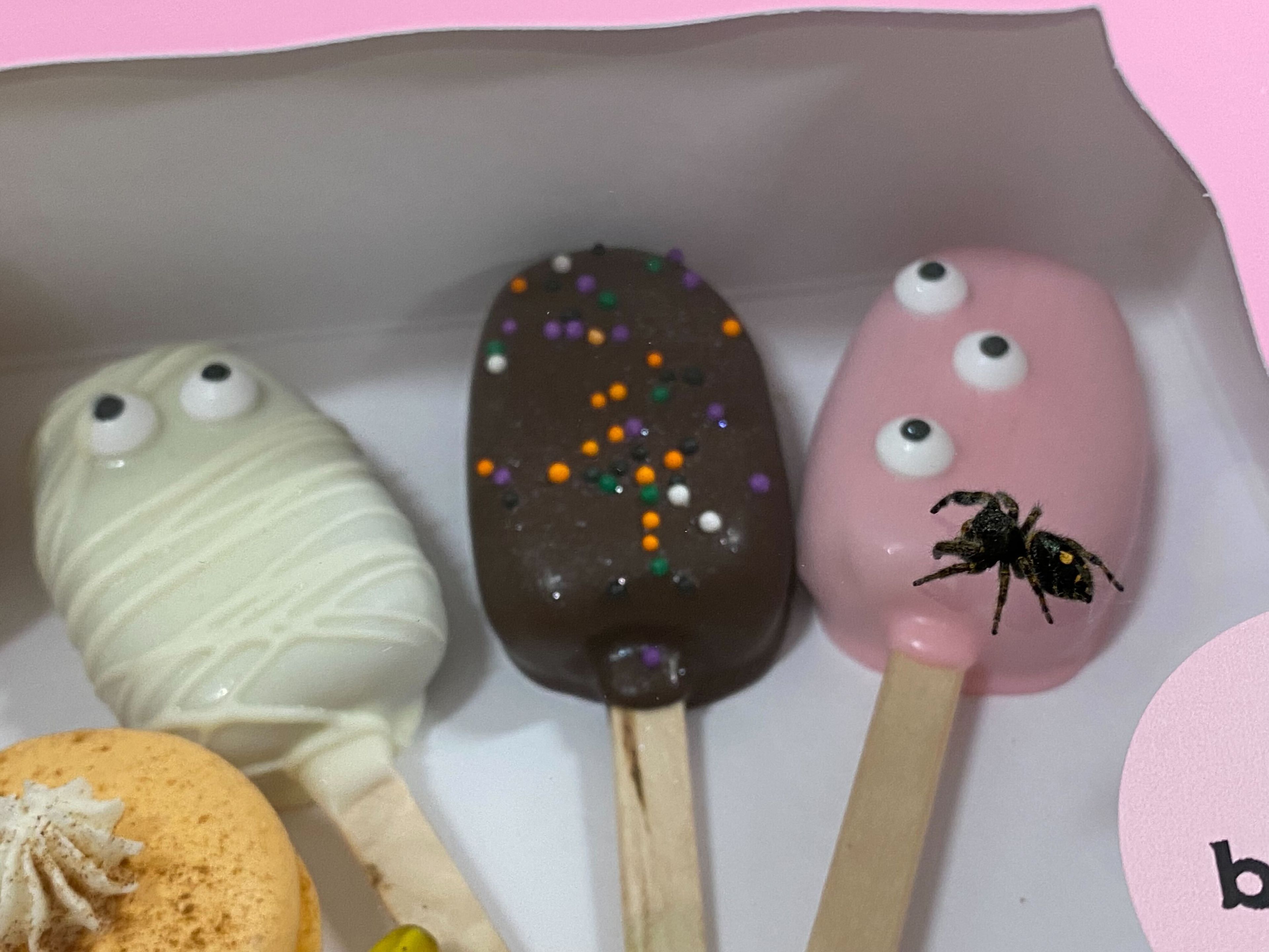 A curious spider looks at a box of Halloween-themed treats at b's bakery.