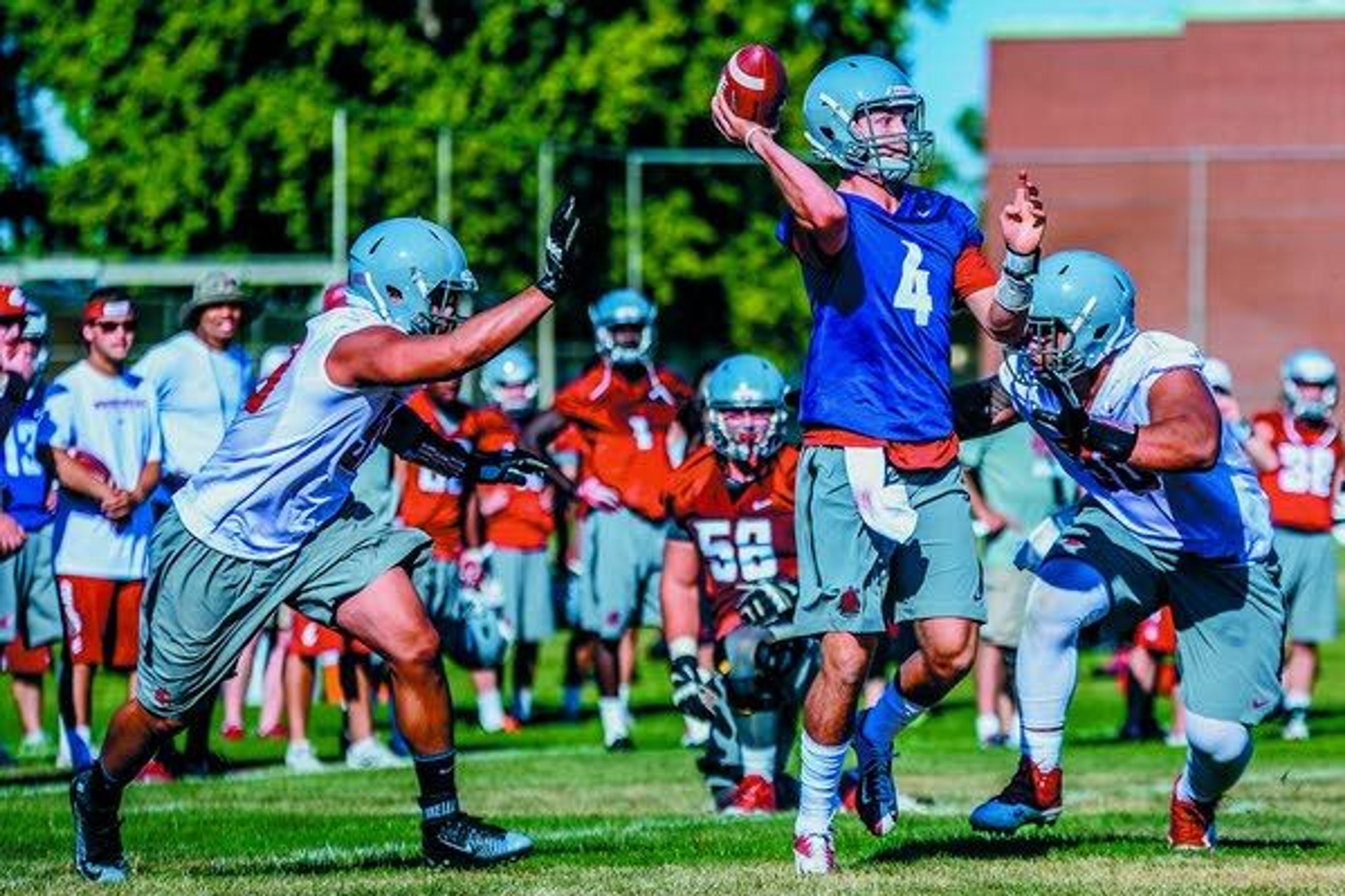 Washington State defensive ends Darryl Paulo, left, and Hercules Mata'afa, right, pursue quarterback Luke Falk (4) during a fall camp practice Aug. 8 at Sacajawea Junior High School in Lewiston.