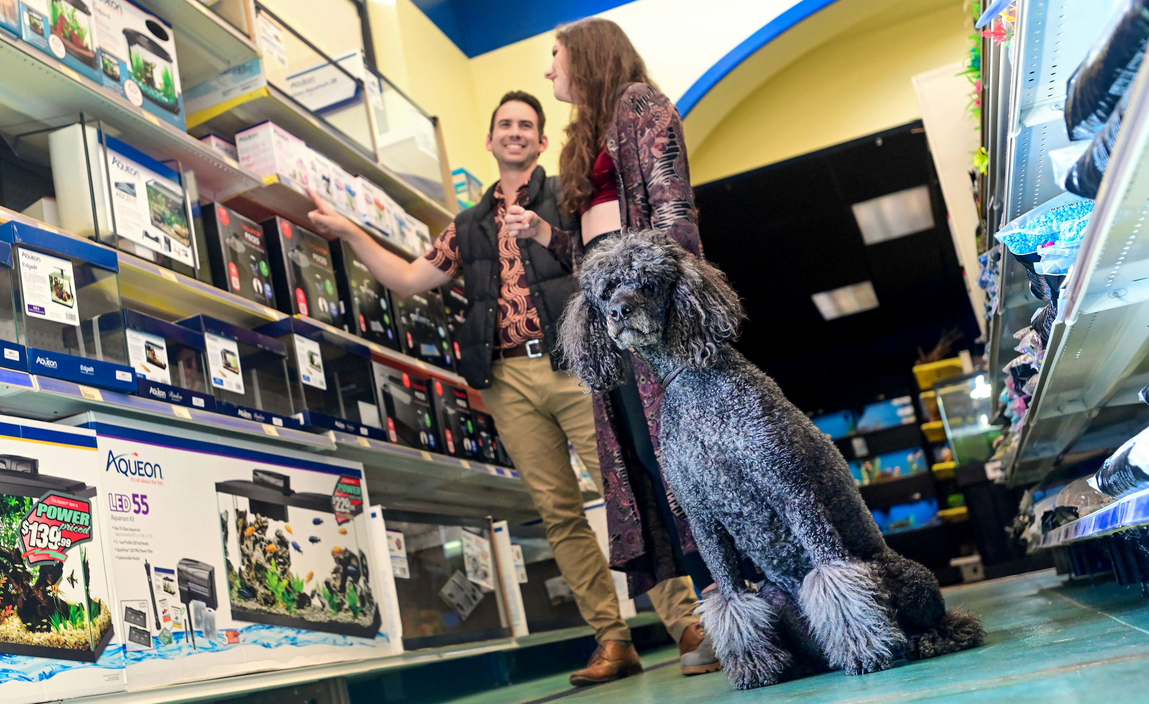 Rosemary (front), 5, leans to watch the dogs at the front of the store as owners Taylor Rogers (left) and Savannah Rogers debate buying more fish supplies for their home at the Pets Are People Too along Troy Road in Moscow on Friday.