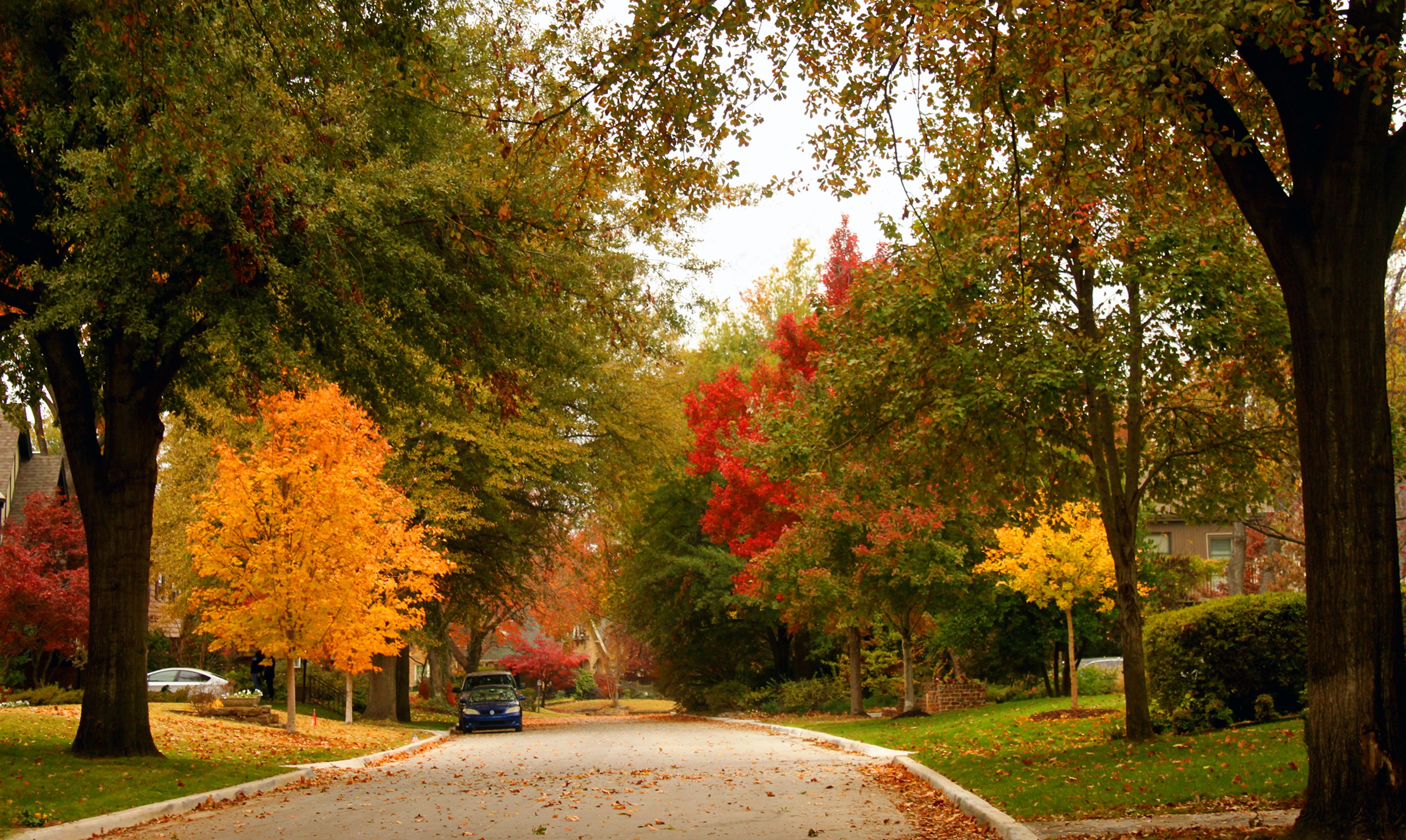 We Ohioans love our autumns, known in national fall foliage roundups for its preponderance of rich red maples and golden hickories, its purplish red aspens, its beech, ash and sweet gum. (Susan Vineyard/Dreamstime/TNS),